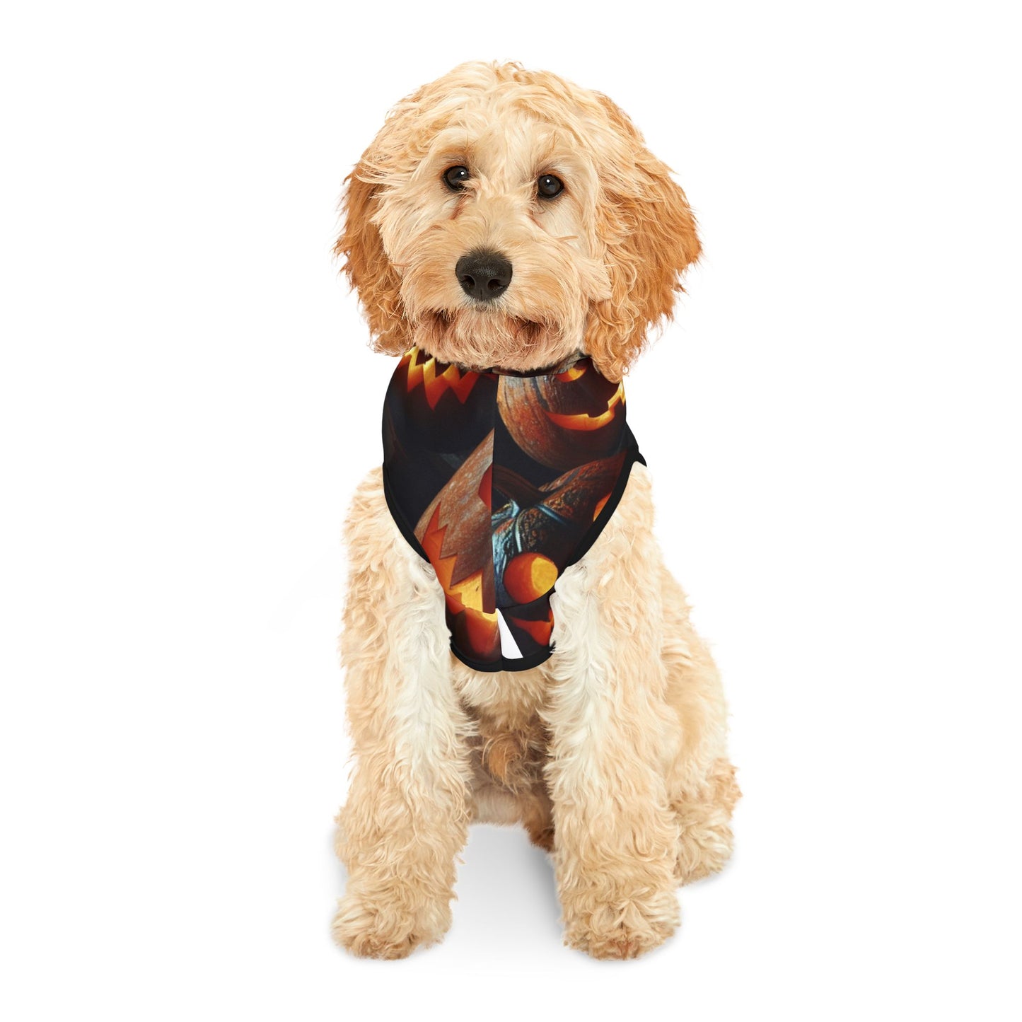 Pet Hoodie