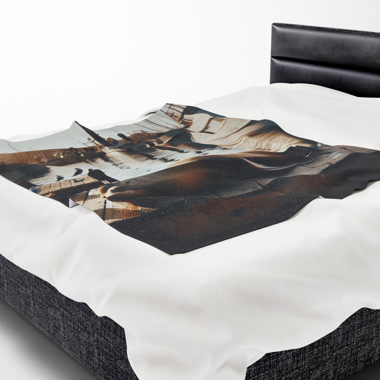 Velveteen Plush Blanket