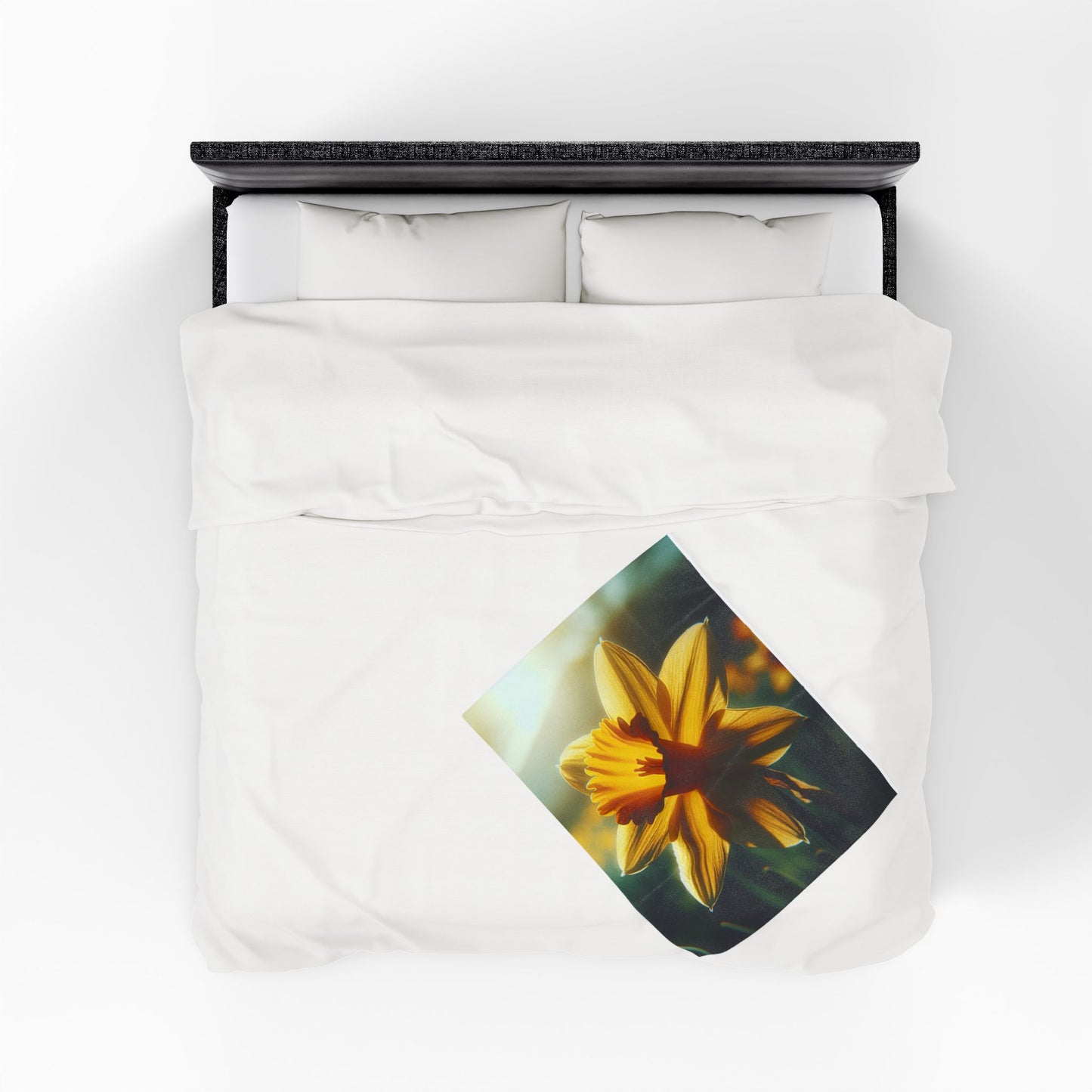 Velveteen Plush Blanket
