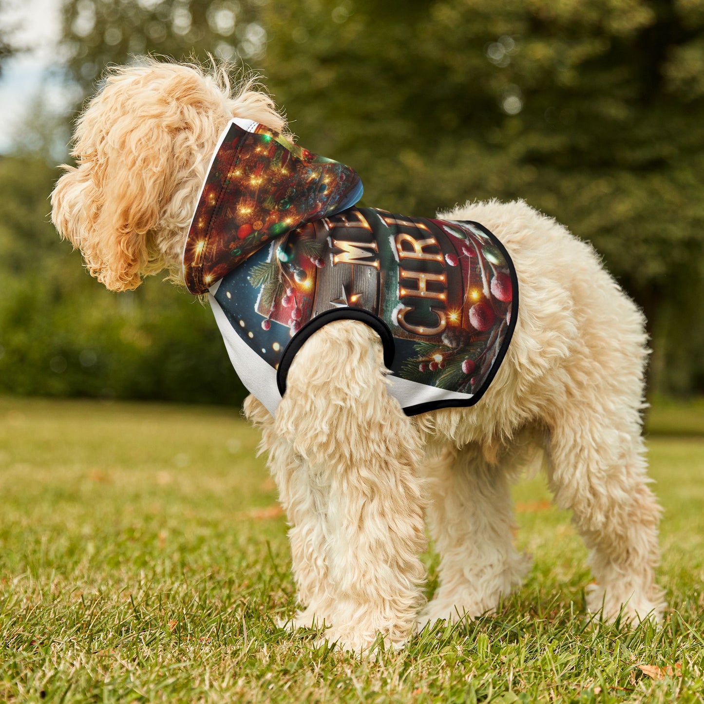 Pet Hoodie