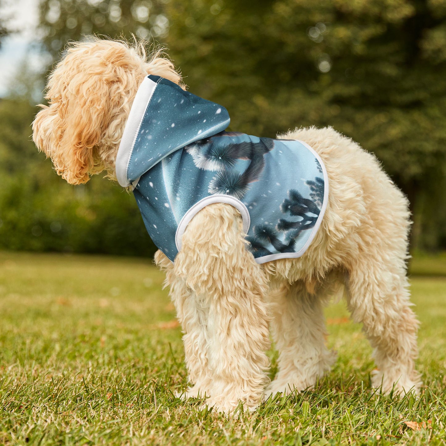 Pet Hoodie