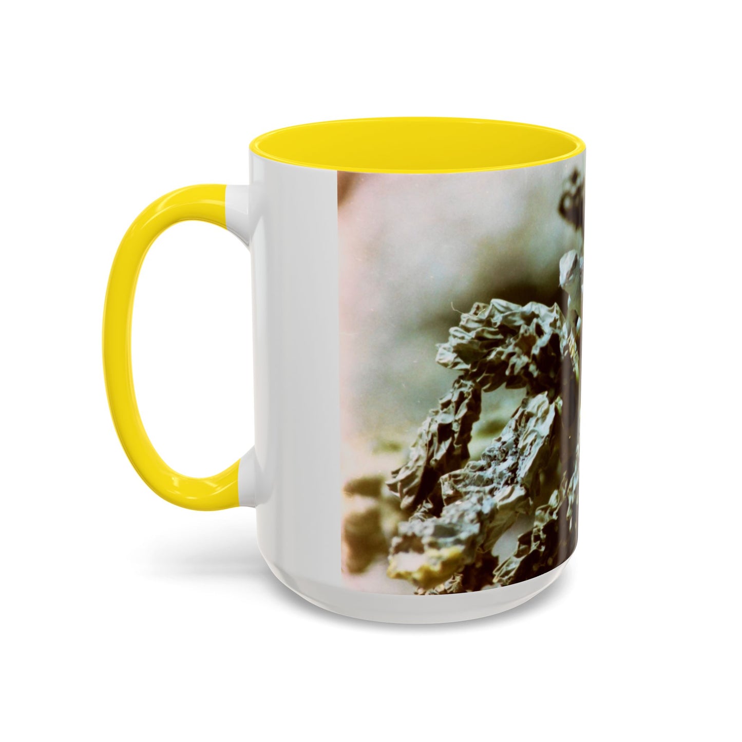 Accent Coffee Mug, 11oz