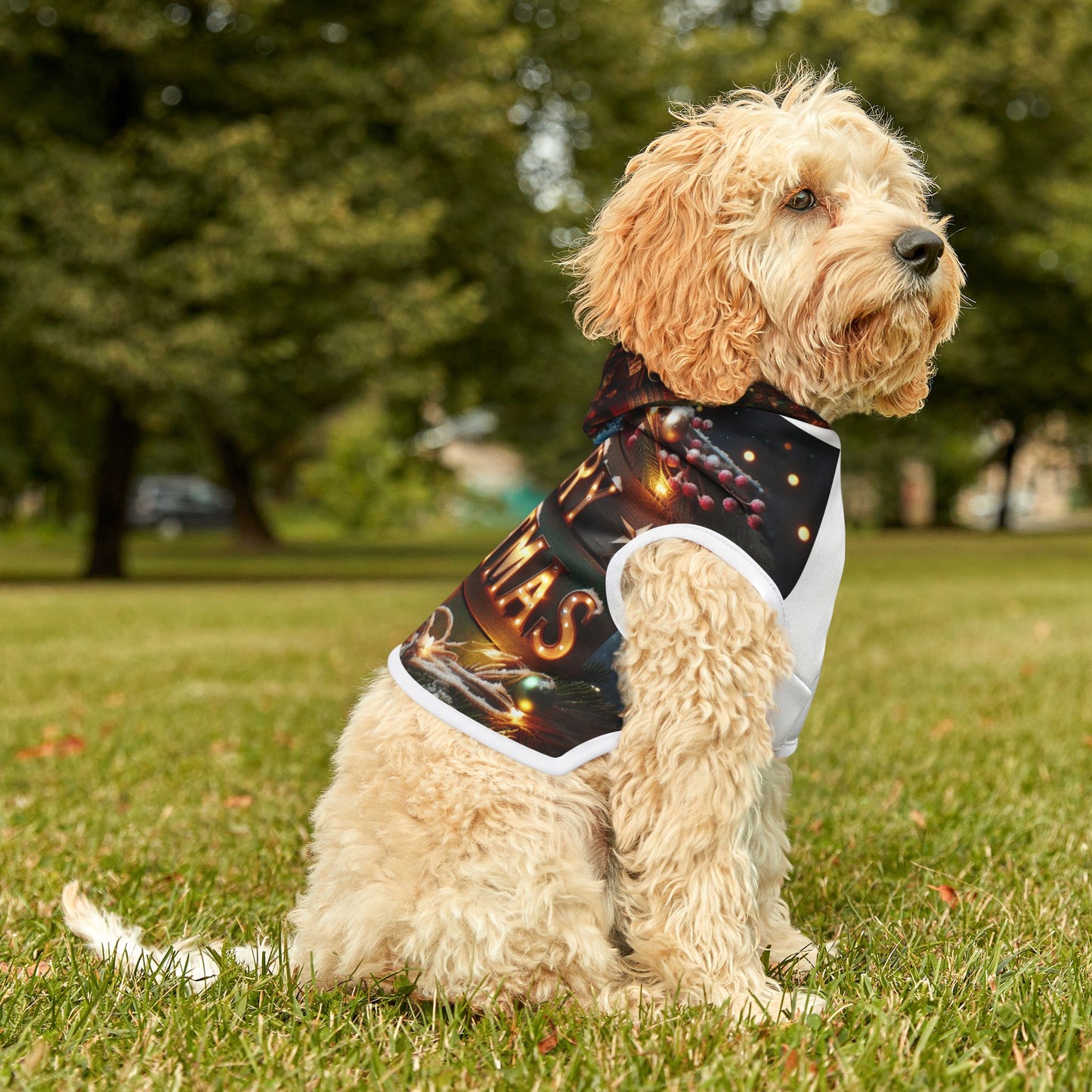 Pet Hoodie
