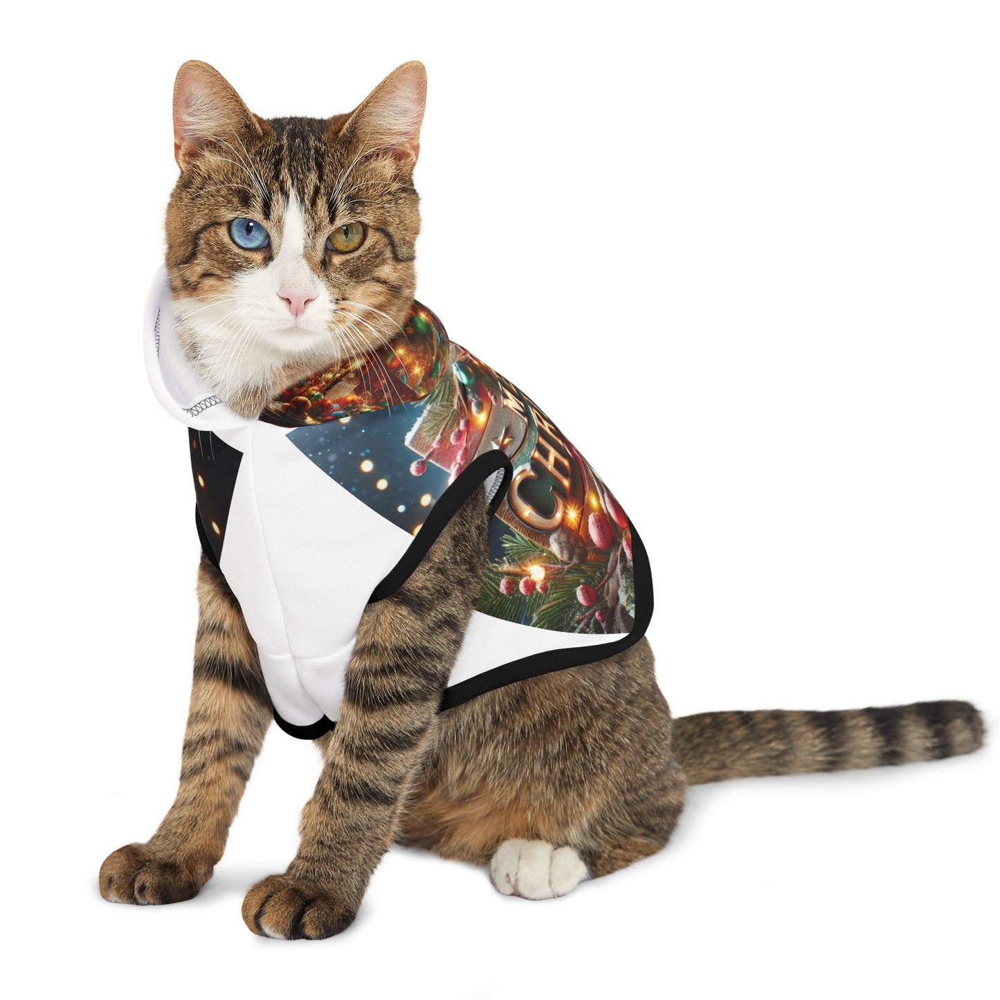 Pet Hoodie