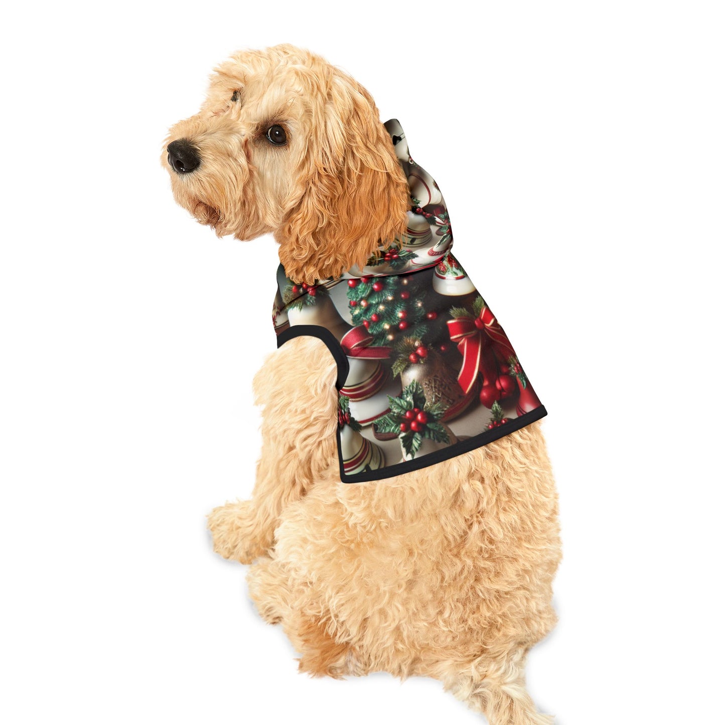 Pet Hoodie
