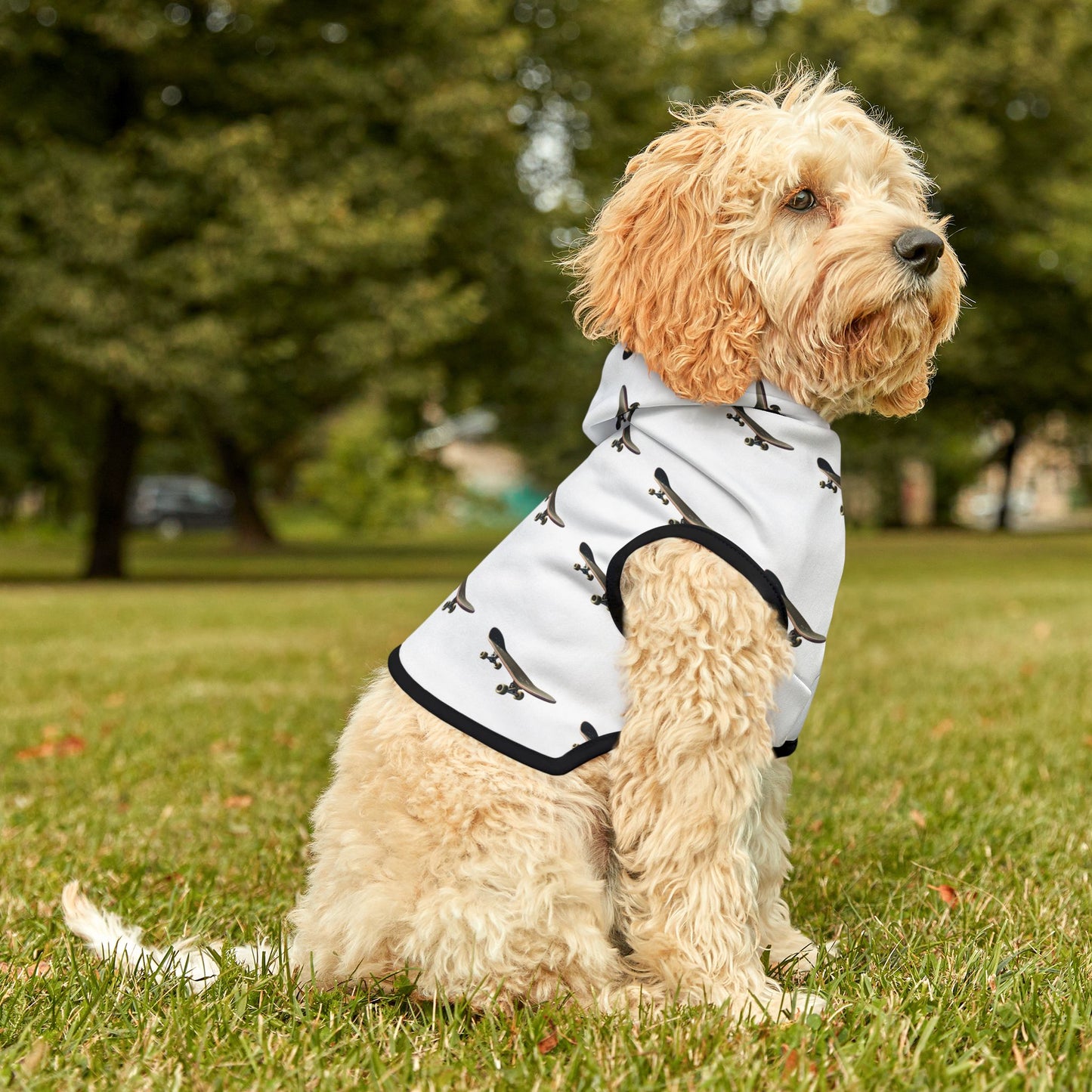 skateboard Pet Hoodie