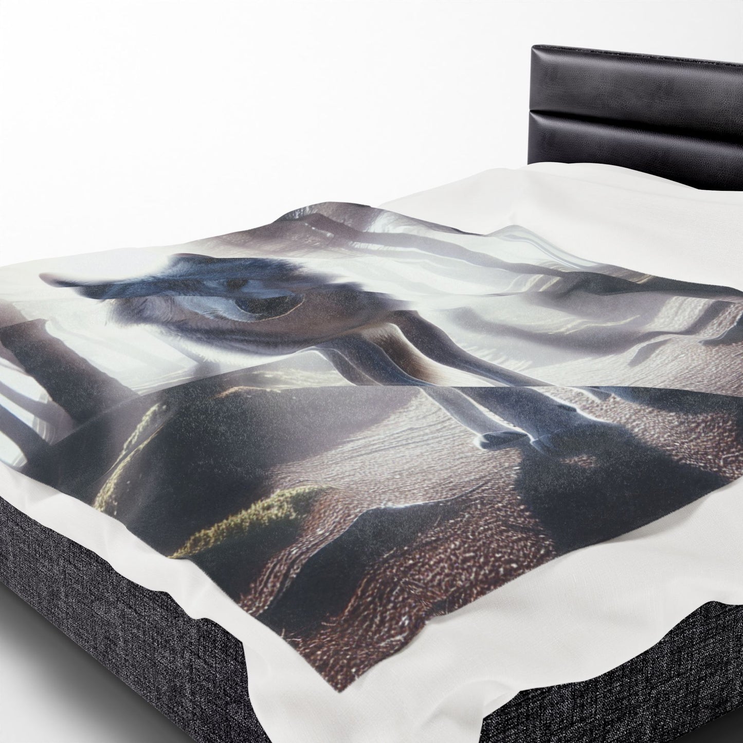 Velveteen Plush Blanket