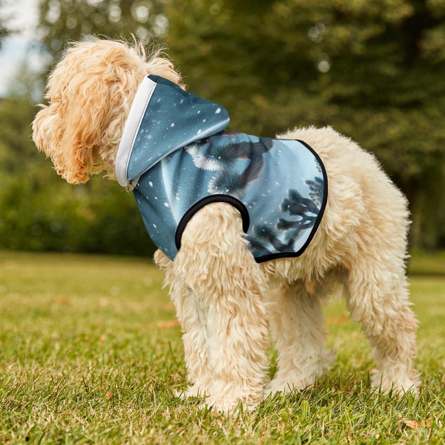 Pet Hoodie