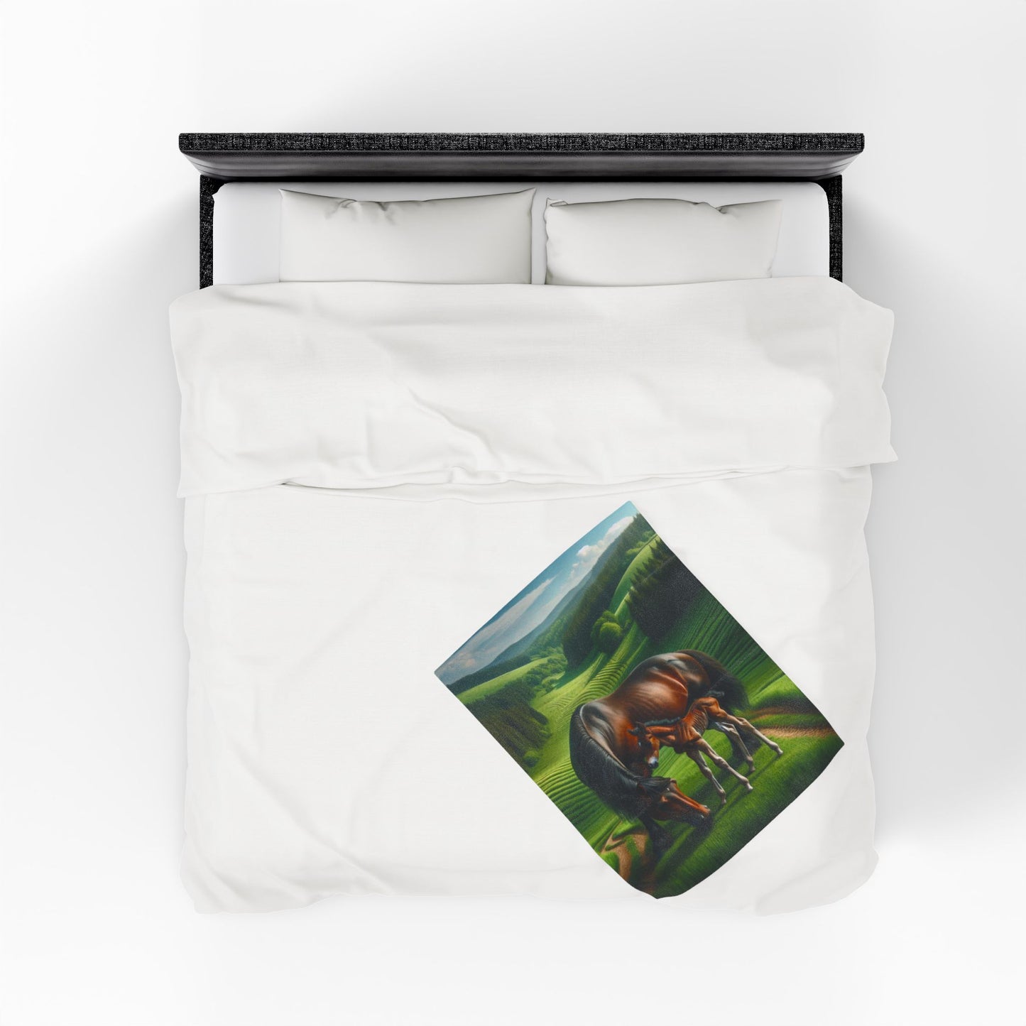 Velveteen Plush Blanket
