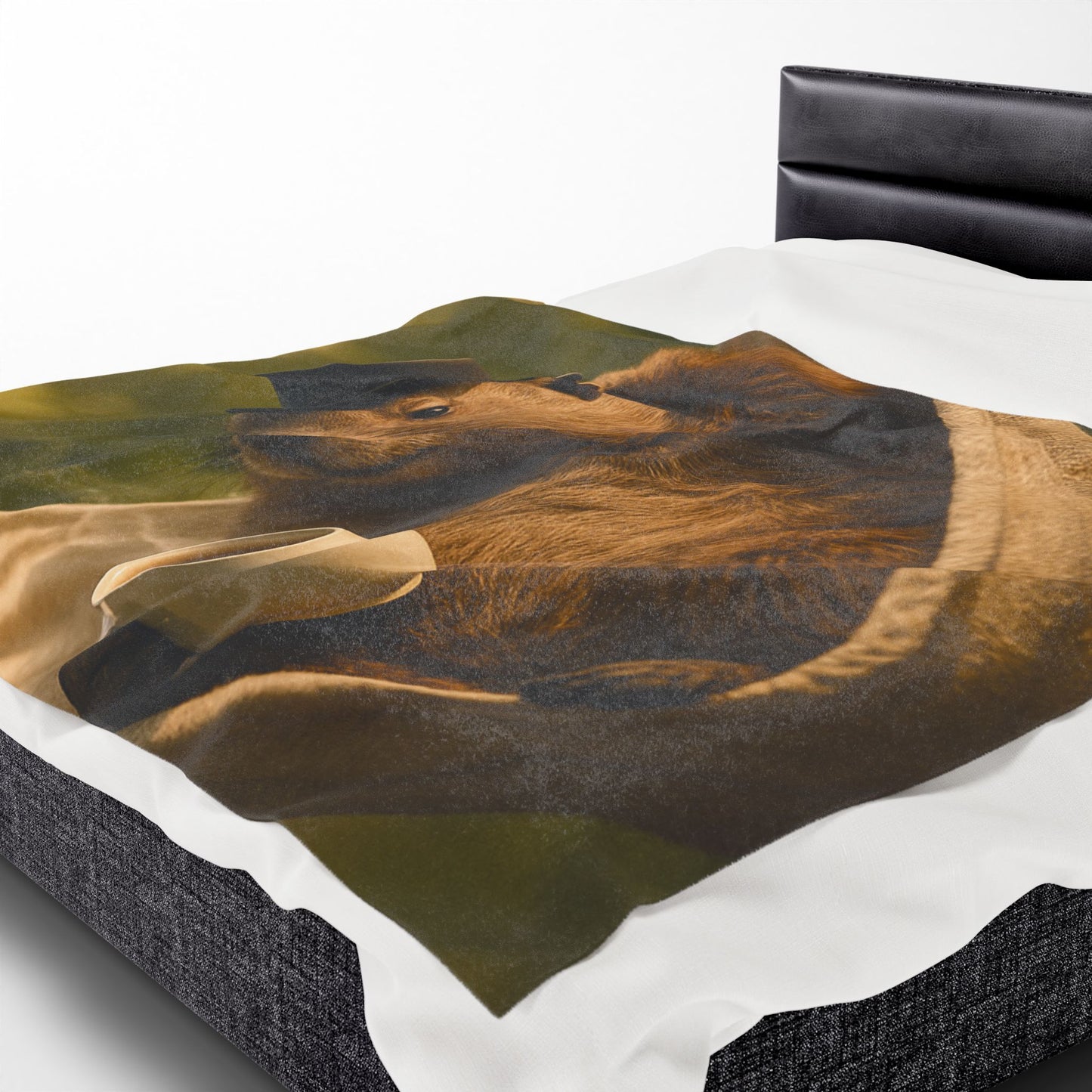 Velveteen Plush Blanket