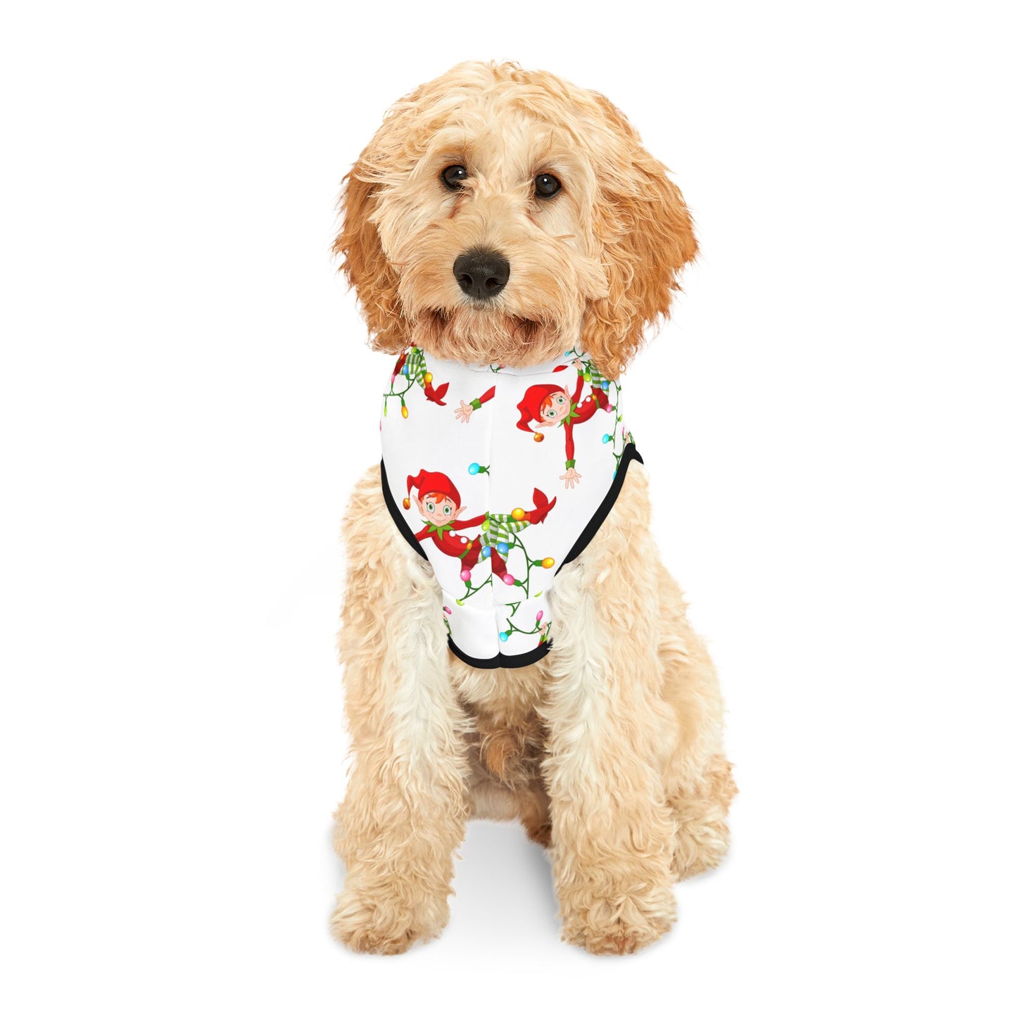 Pet Hoodie
