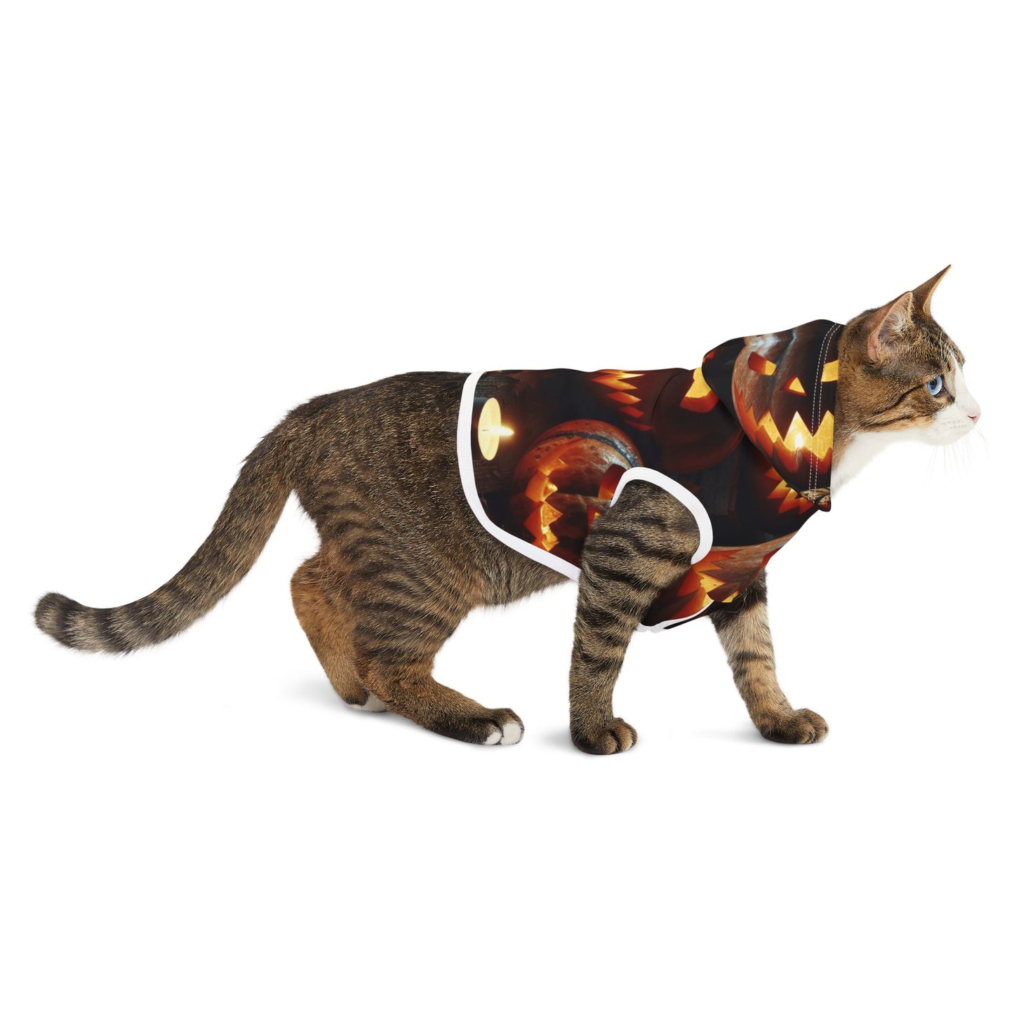 Pet Hoodie