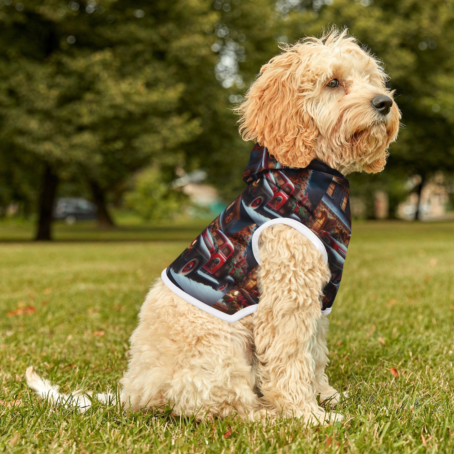 Pet Hoodie
