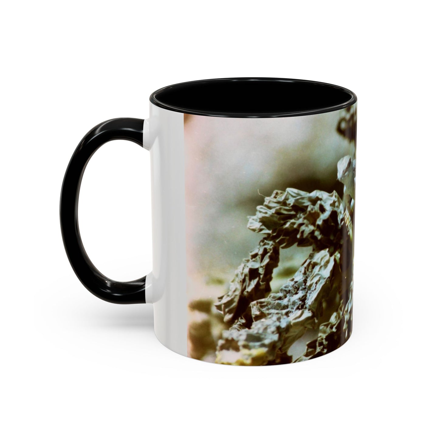 Accent Coffee Mug, 11oz
