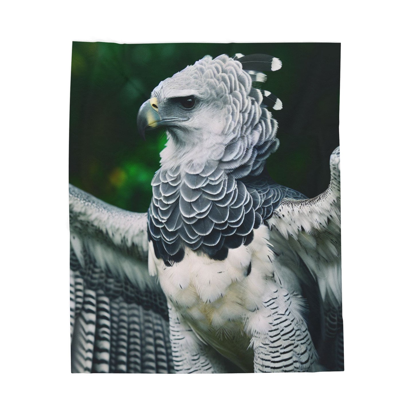 Velveteen Plush Blanket