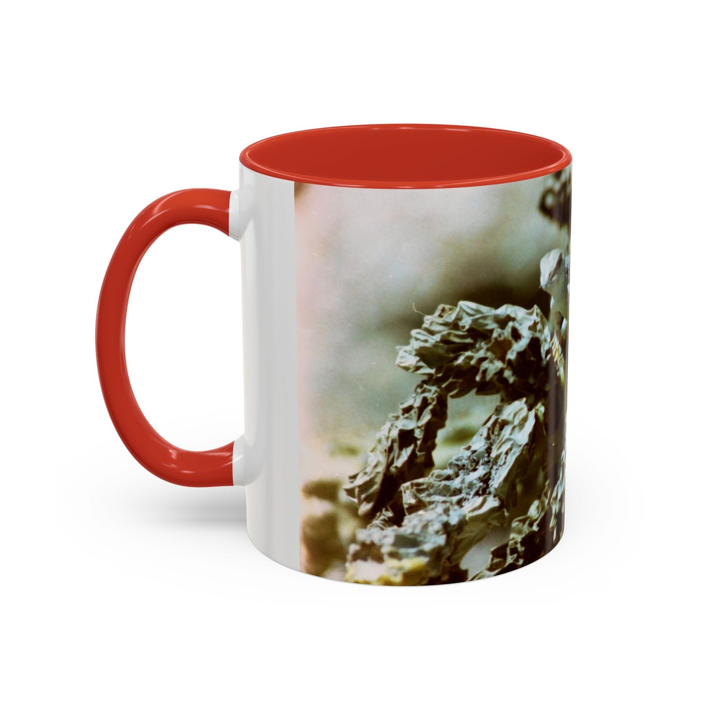 Accent Coffee Mug, 11oz