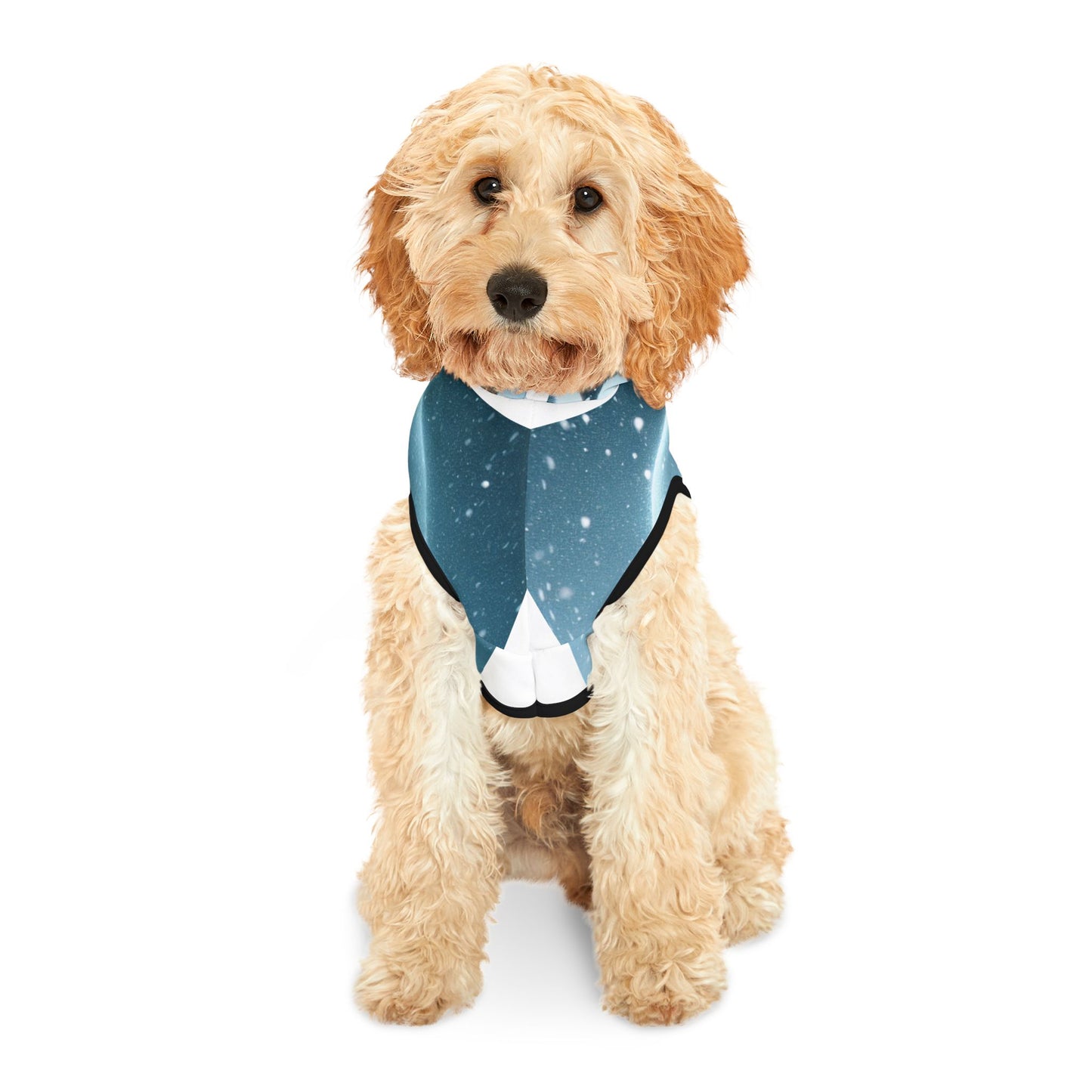 Pet Hoodie