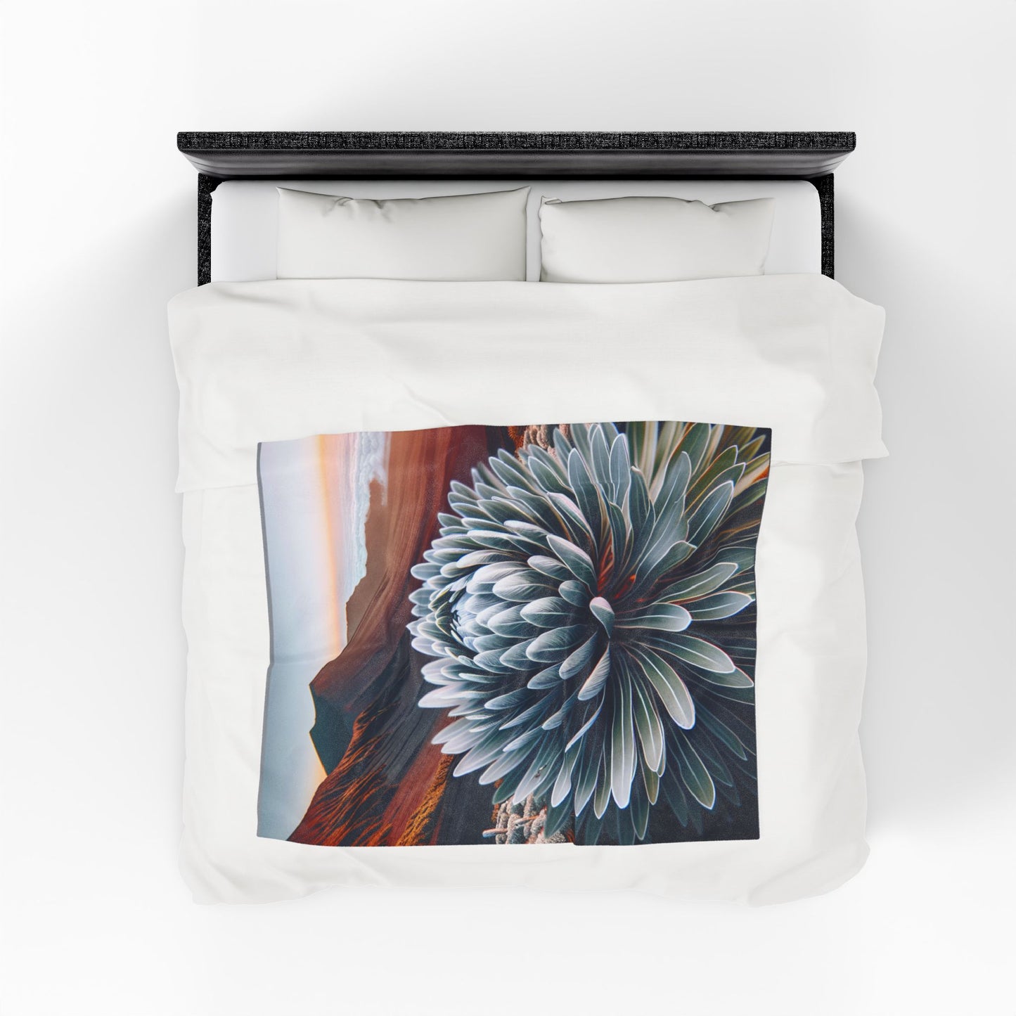 Velveteen Plush Blanket