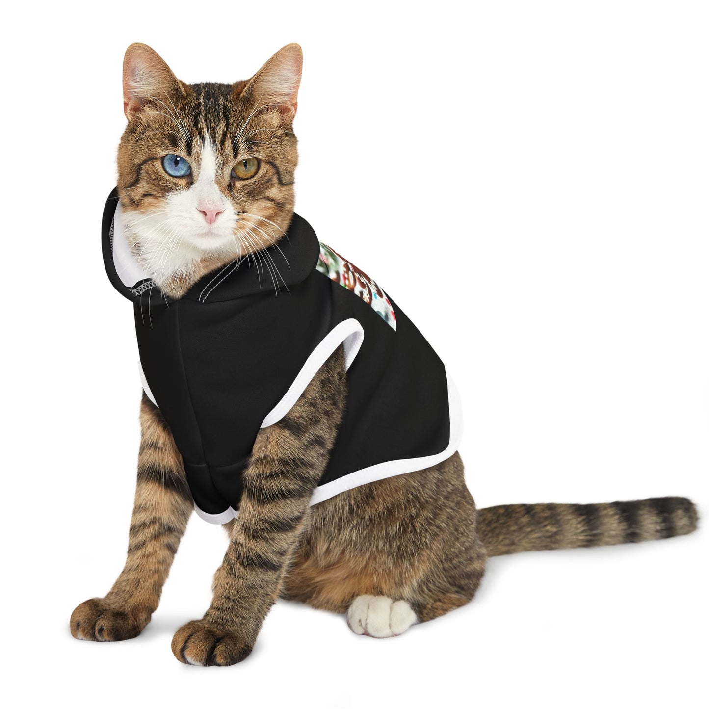 Pet Hoodie