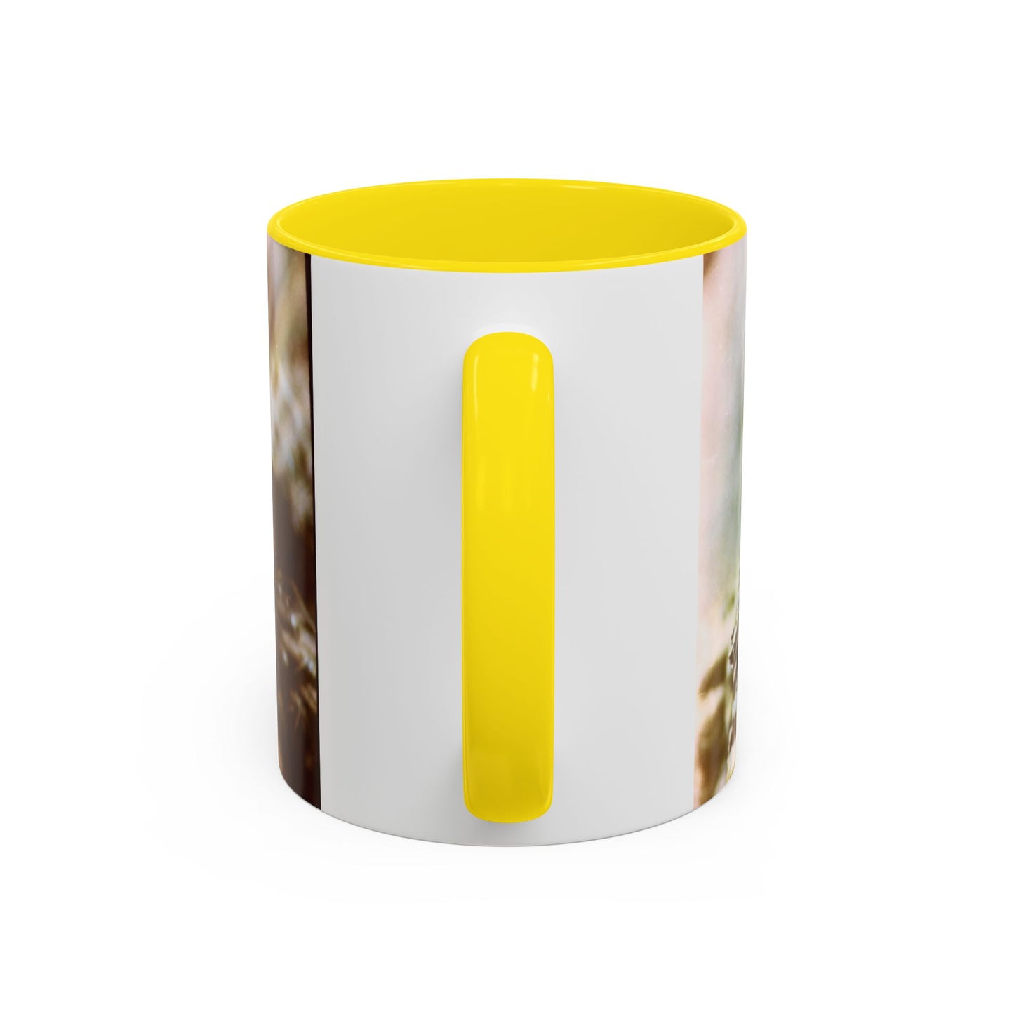 Accent Coffee Mug, 11oz
