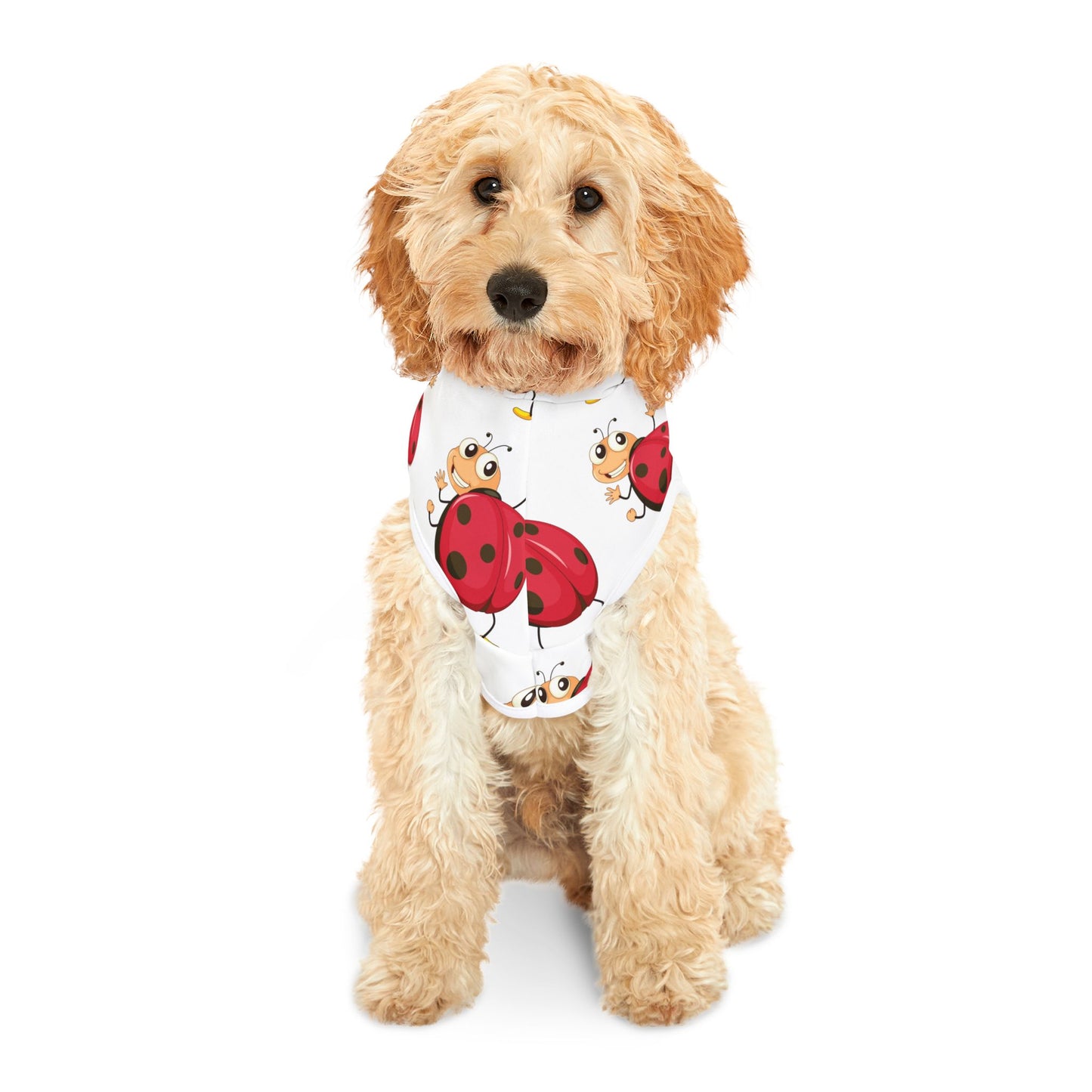 LADYBUG Pet Hoodie