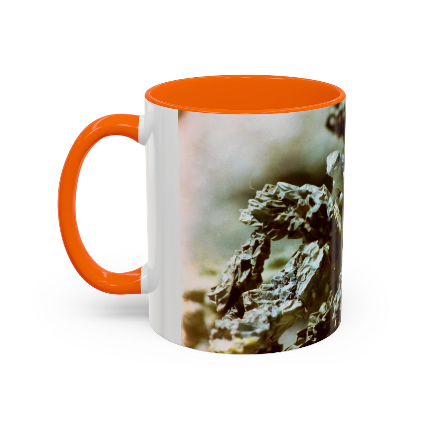 Accent Coffee Mug, 11oz