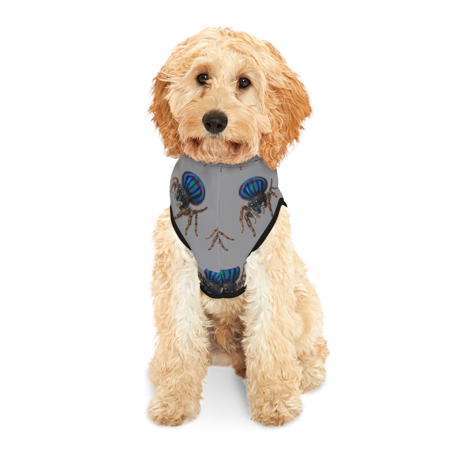 Pet Hoodie