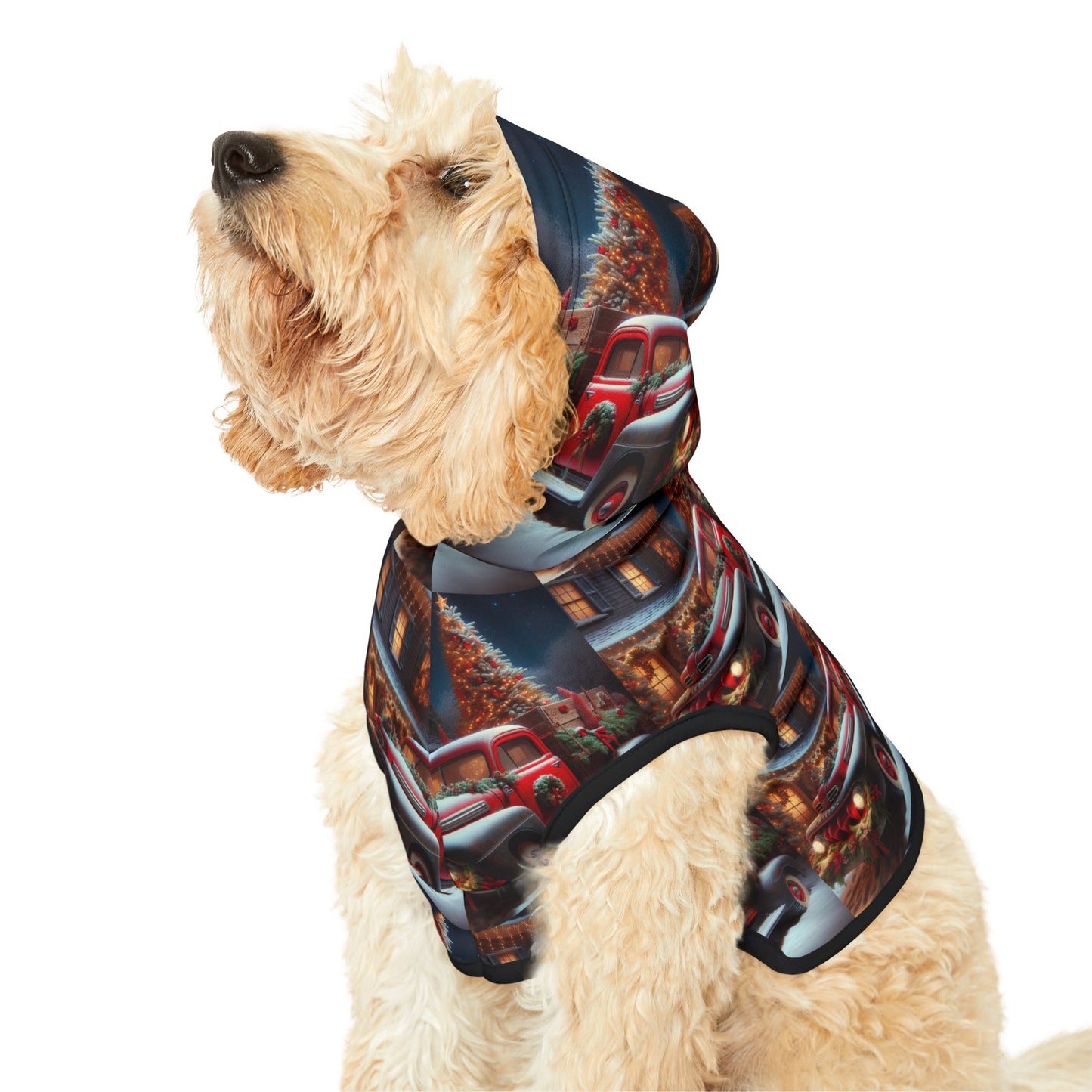 Pet Hoodie