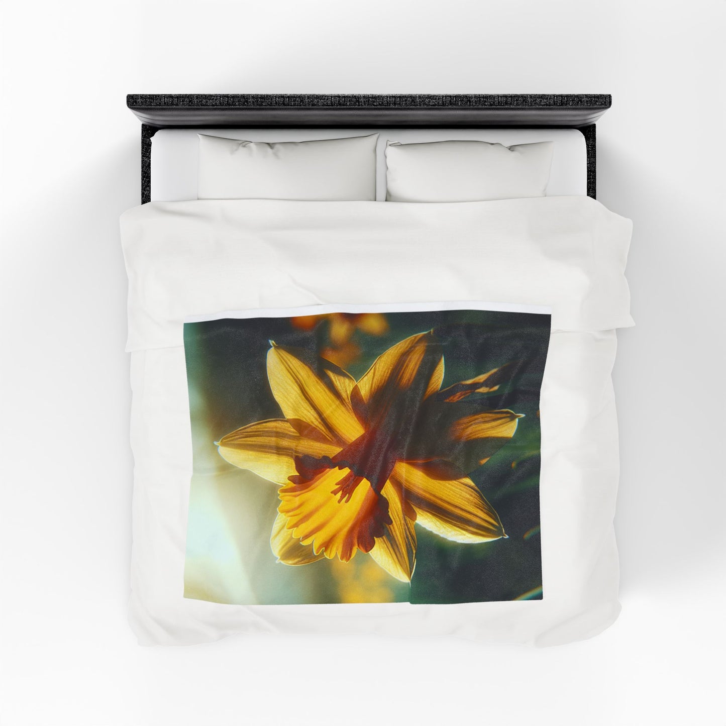 Velveteen Plush Blanket