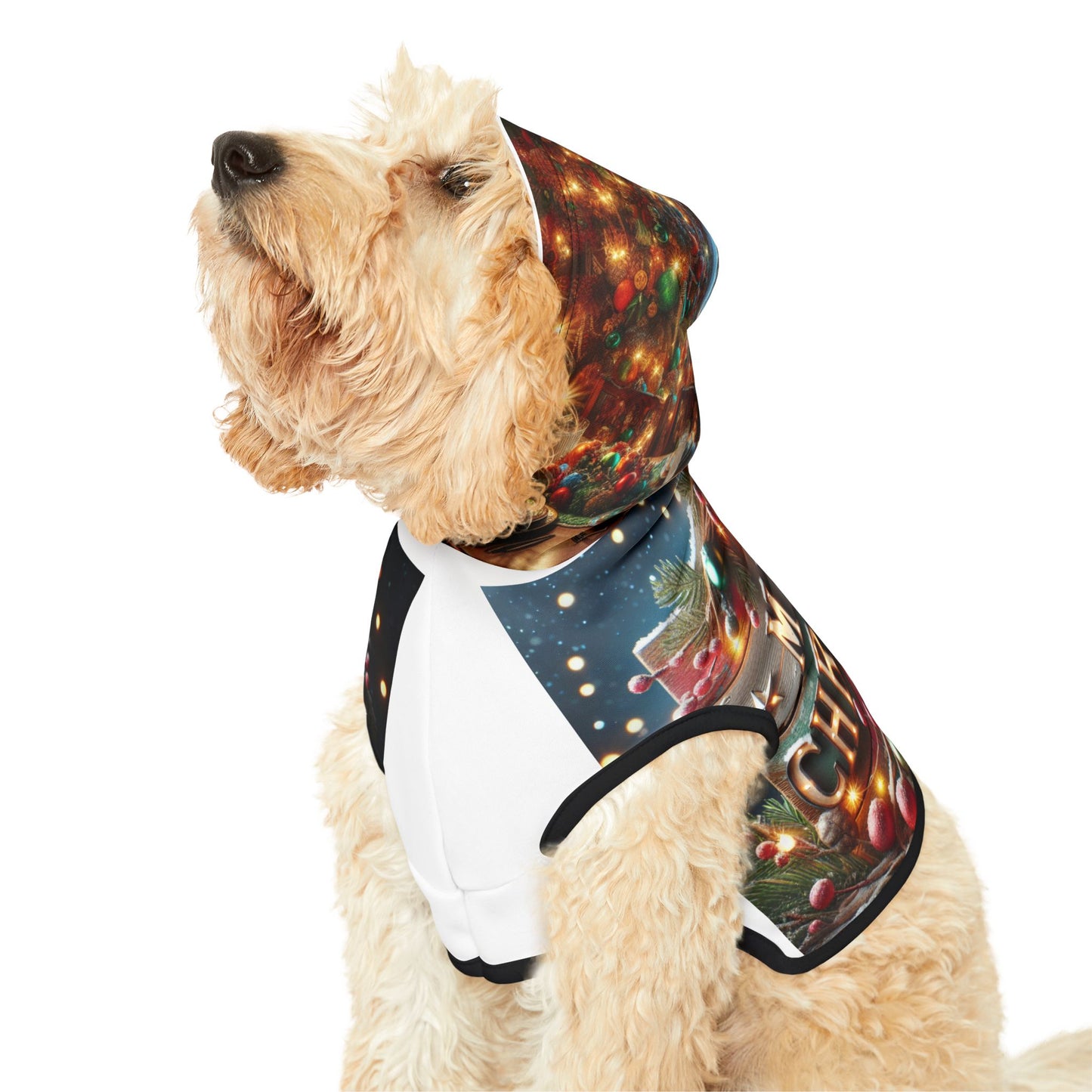 Pet Hoodie