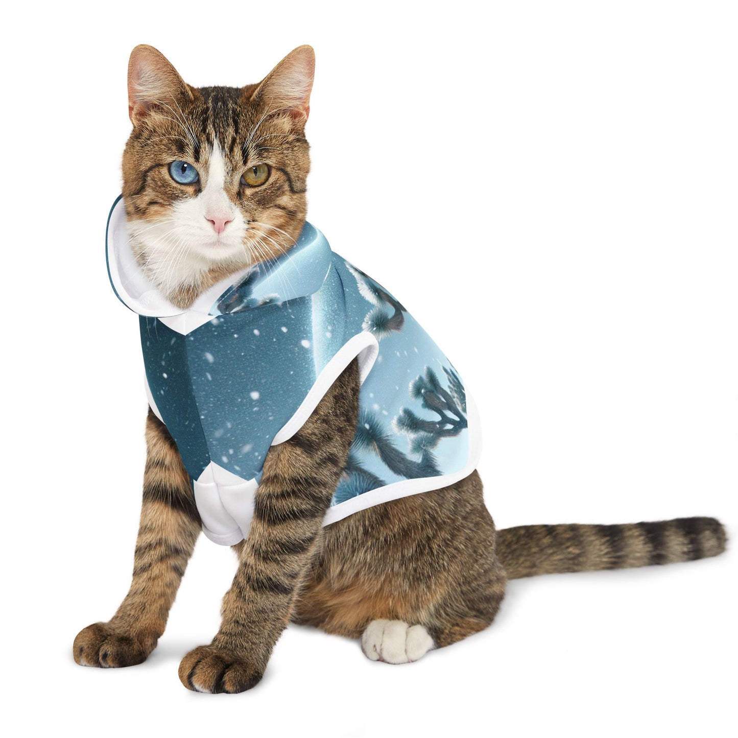 Pet Hoodie