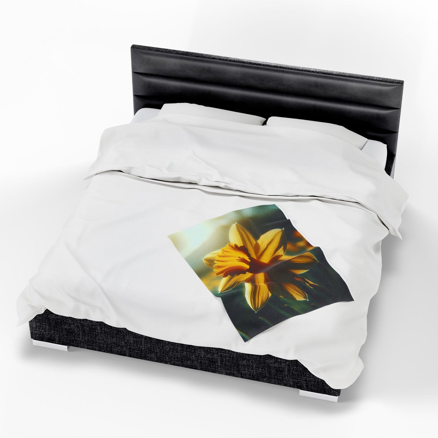 Velveteen Plush Blanket