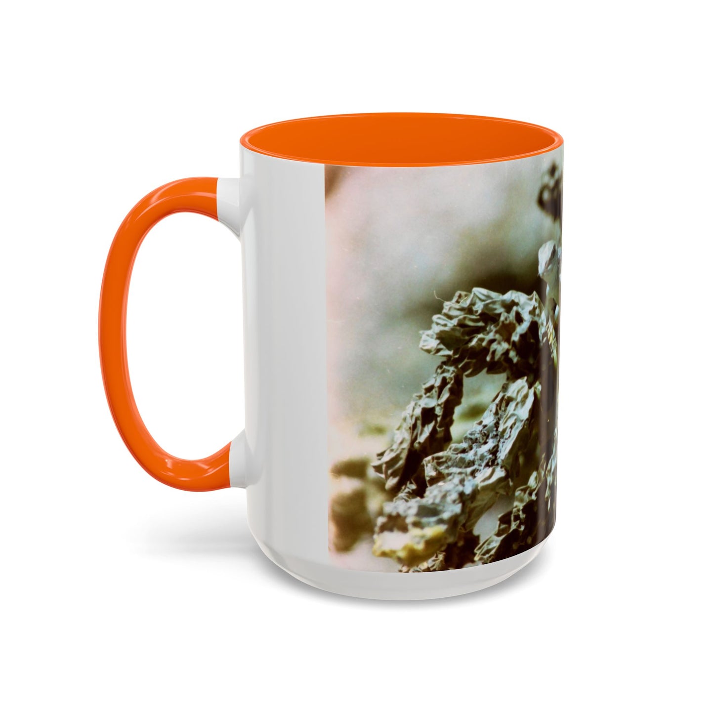 Accent Coffee Mug, 11oz