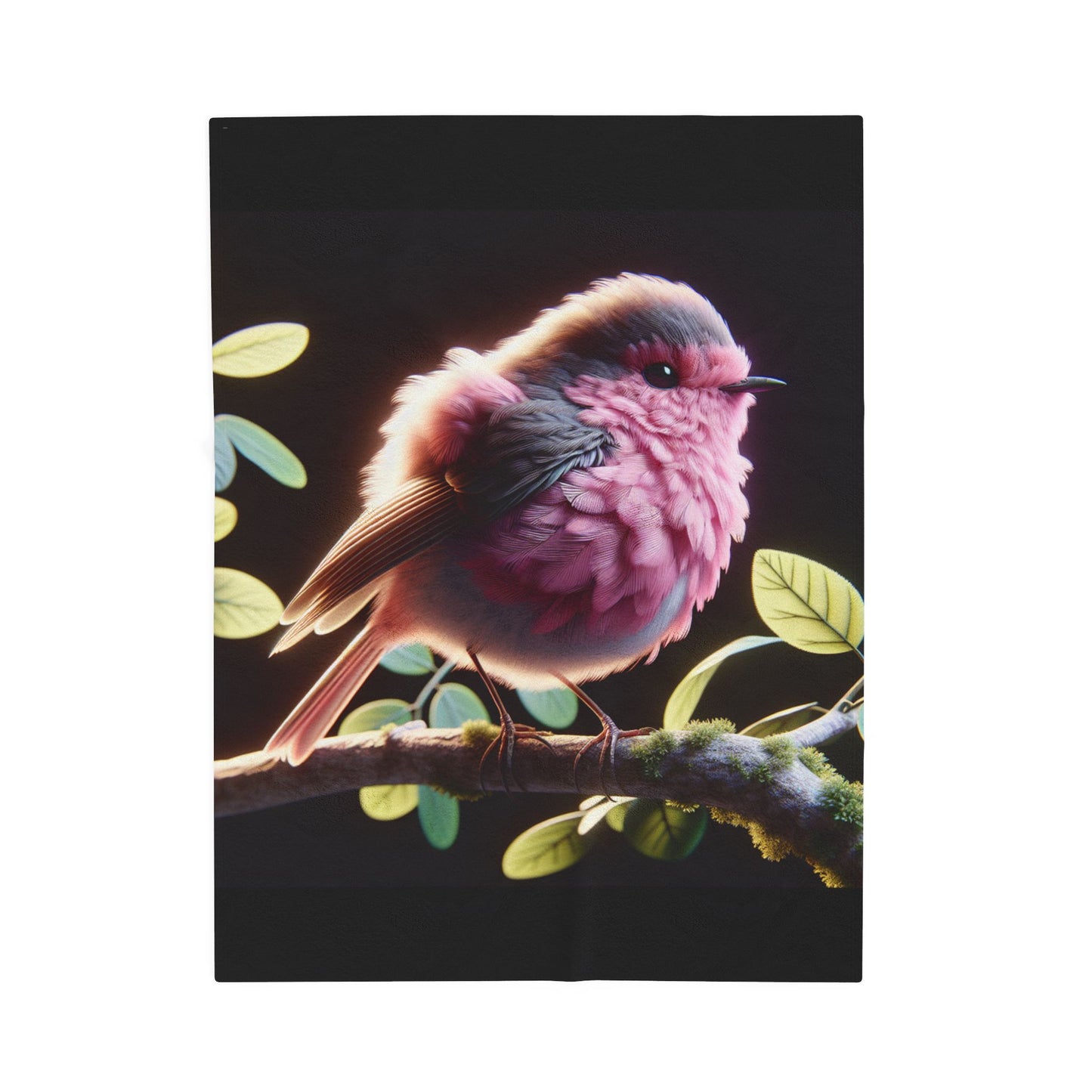 Copy of Velveteen Plush Blanket
