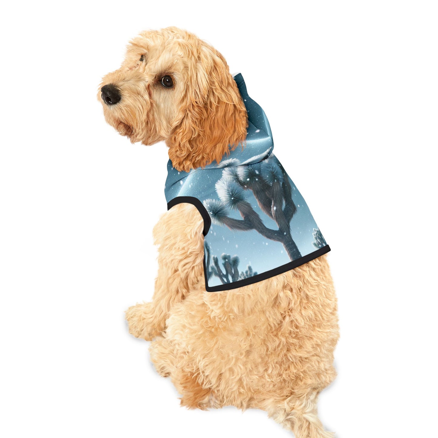 Pet Hoodie