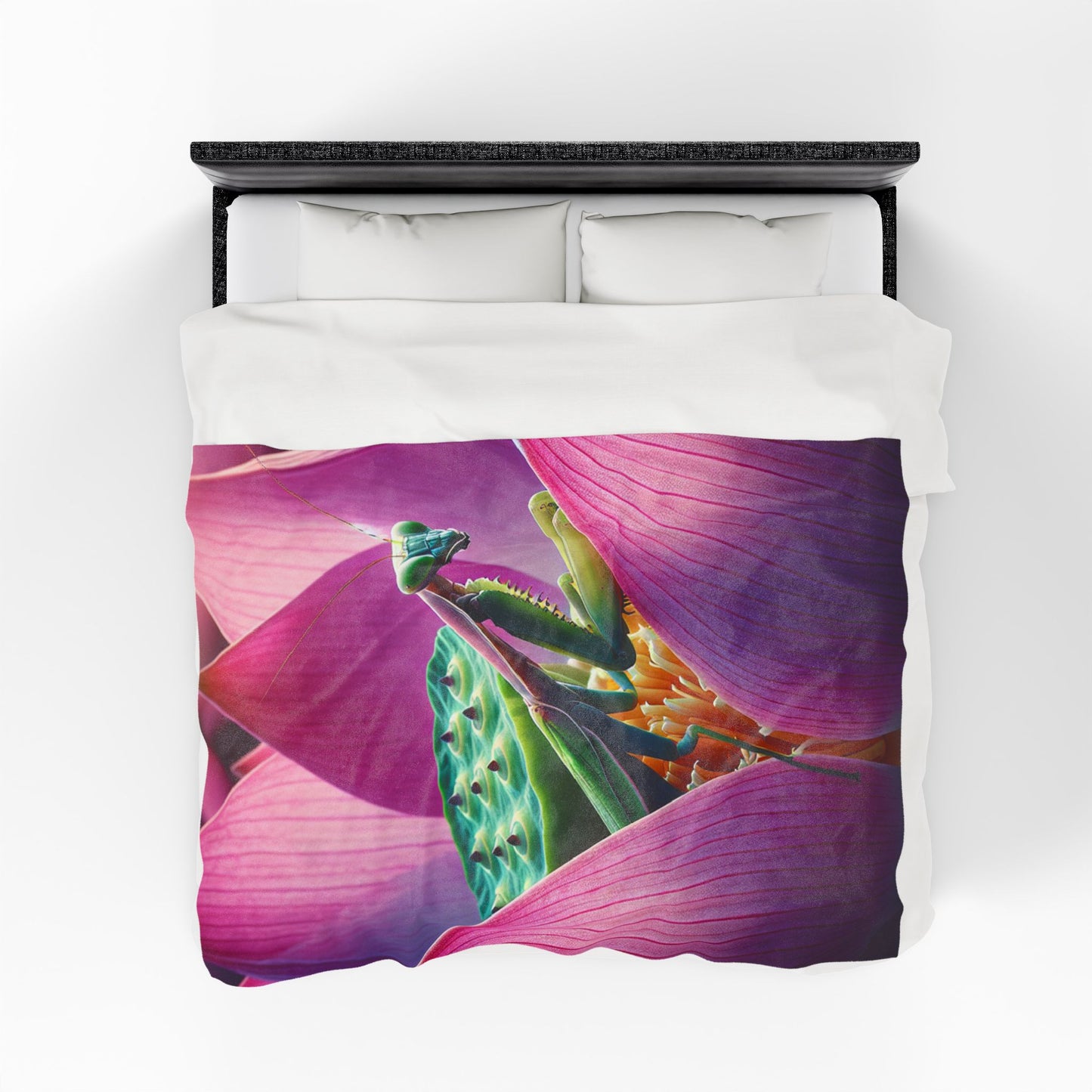 Velveteen Plush Blanket