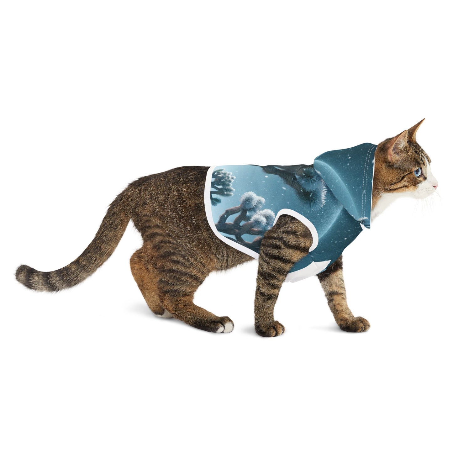 Pet Hoodie