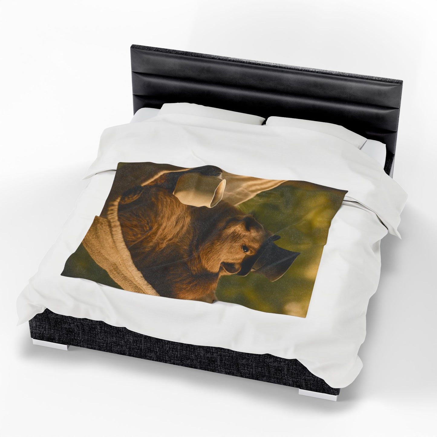 Velveteen Plush Blanket