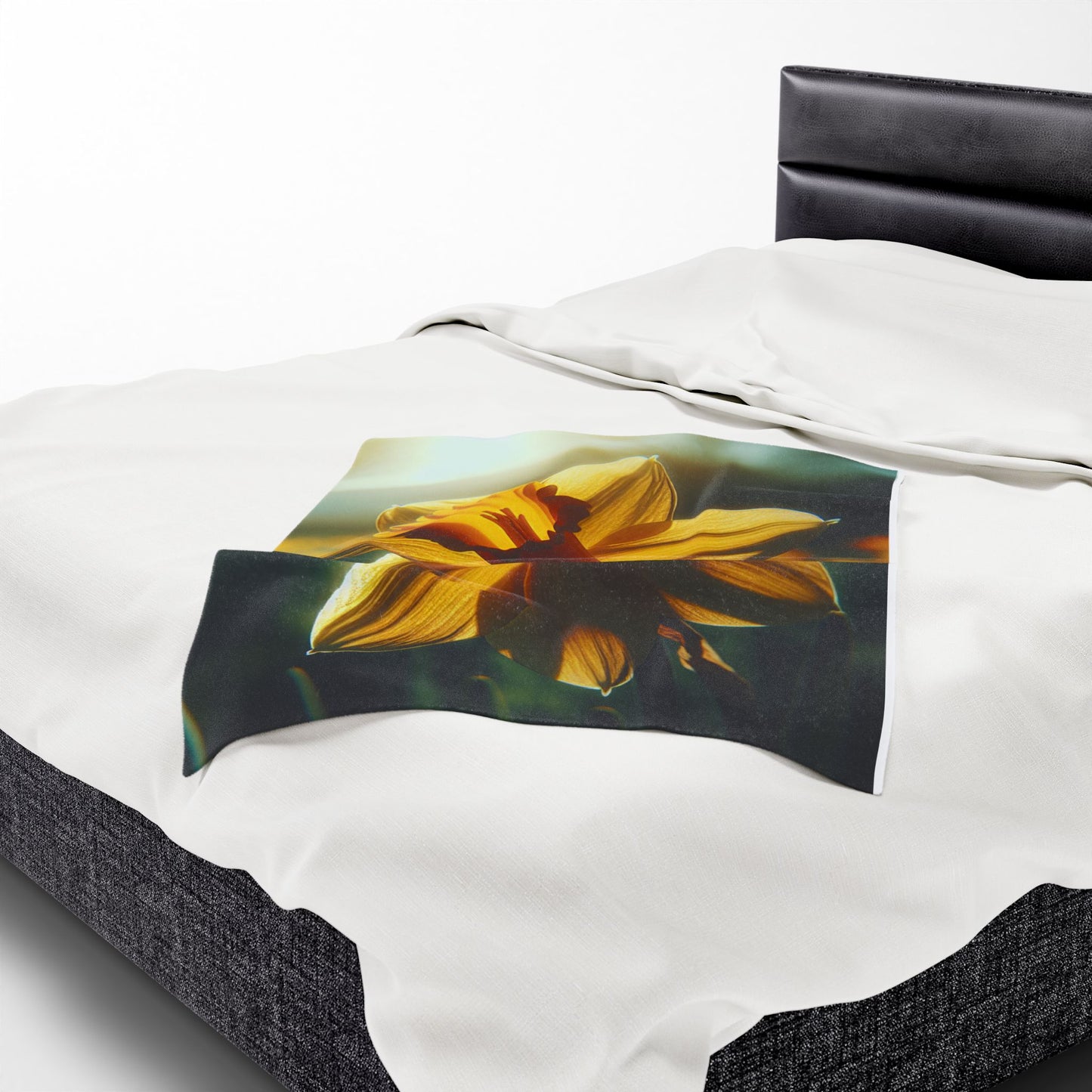 Velveteen Plush Blanket