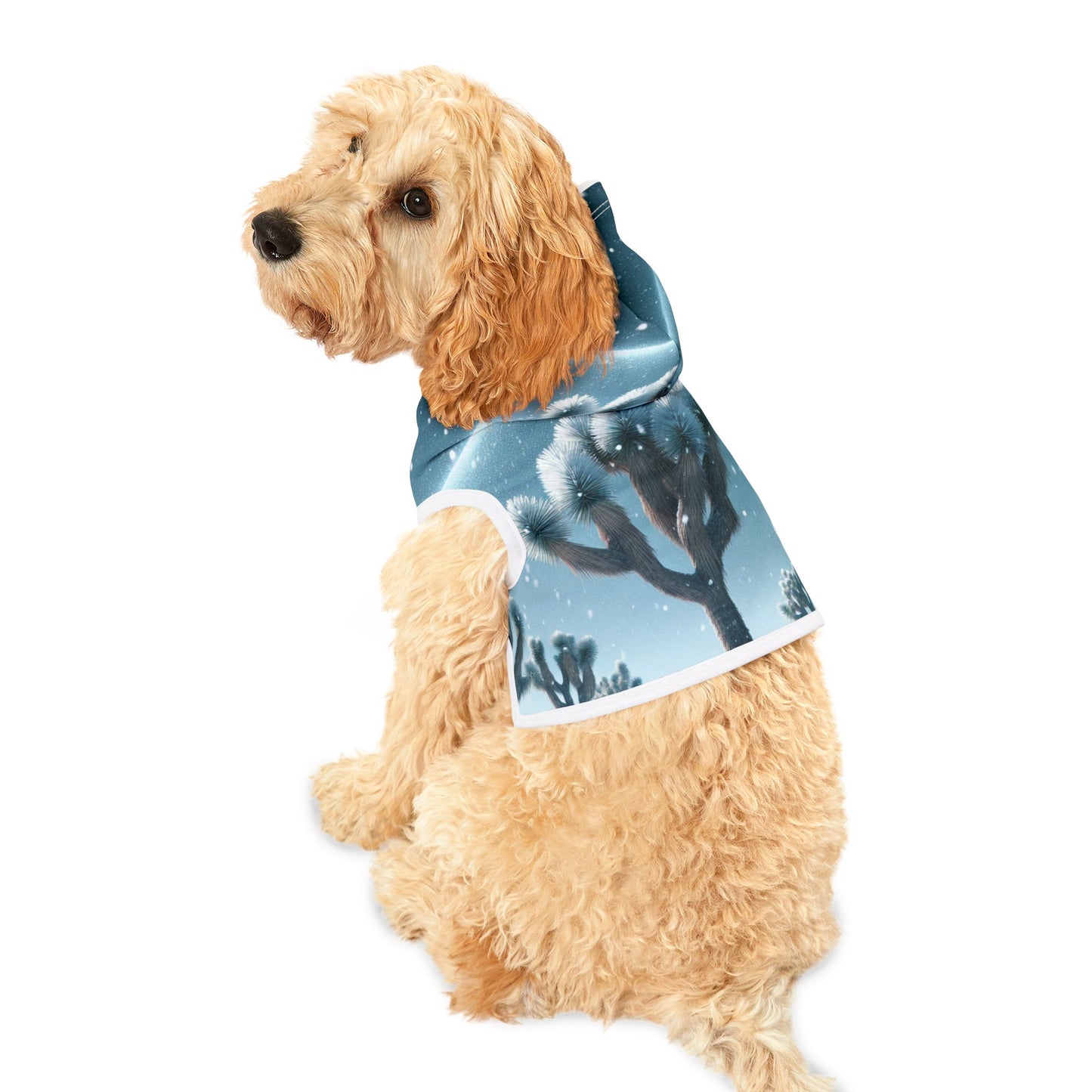 Pet Hoodie