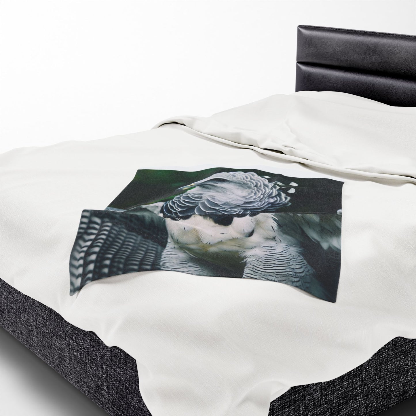 Velveteen Plush Blanket