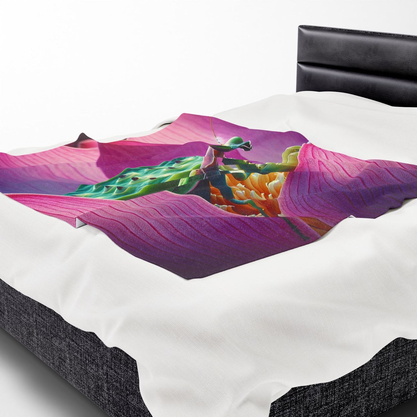Velveteen Plush Blanket