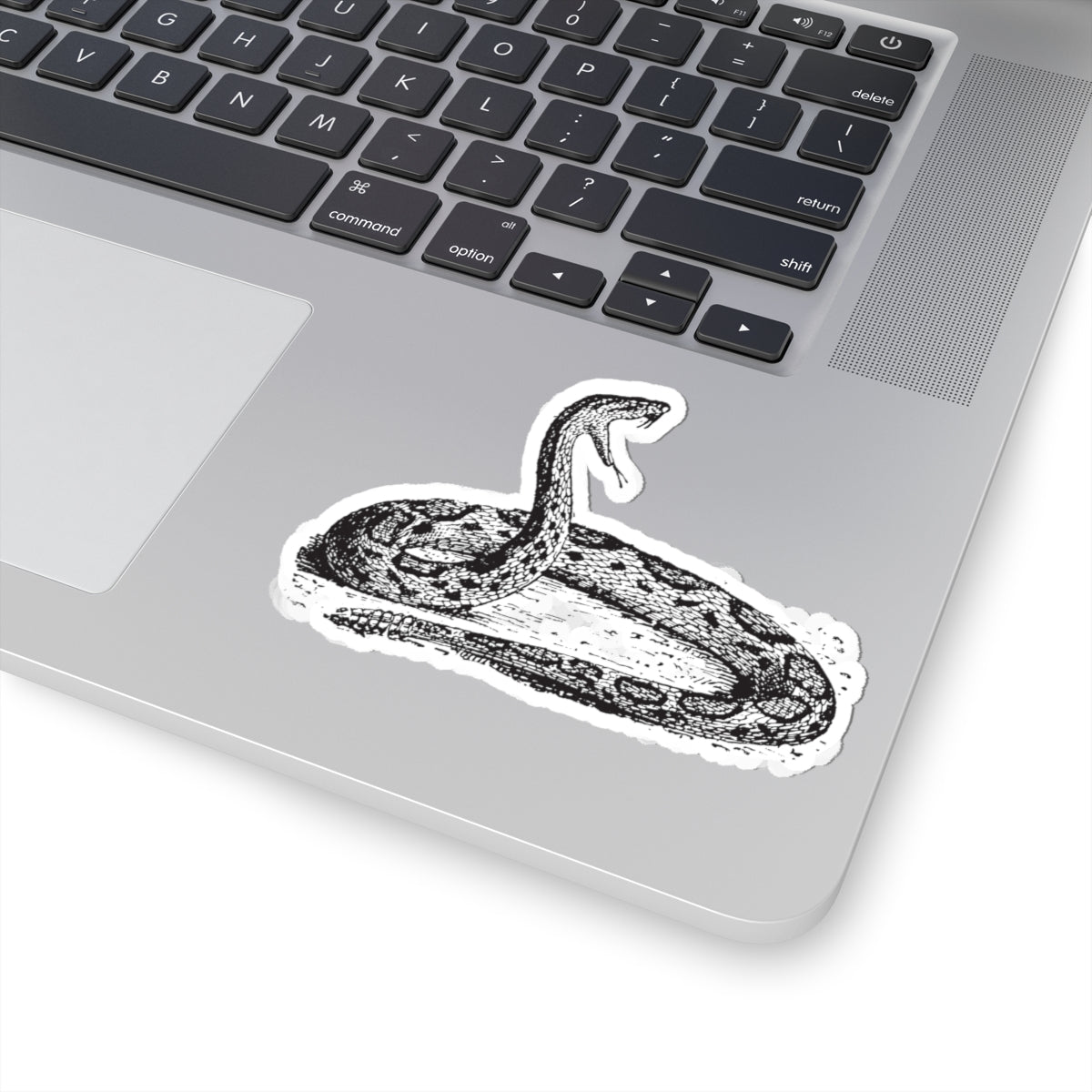 Kiss-Cut Stickers