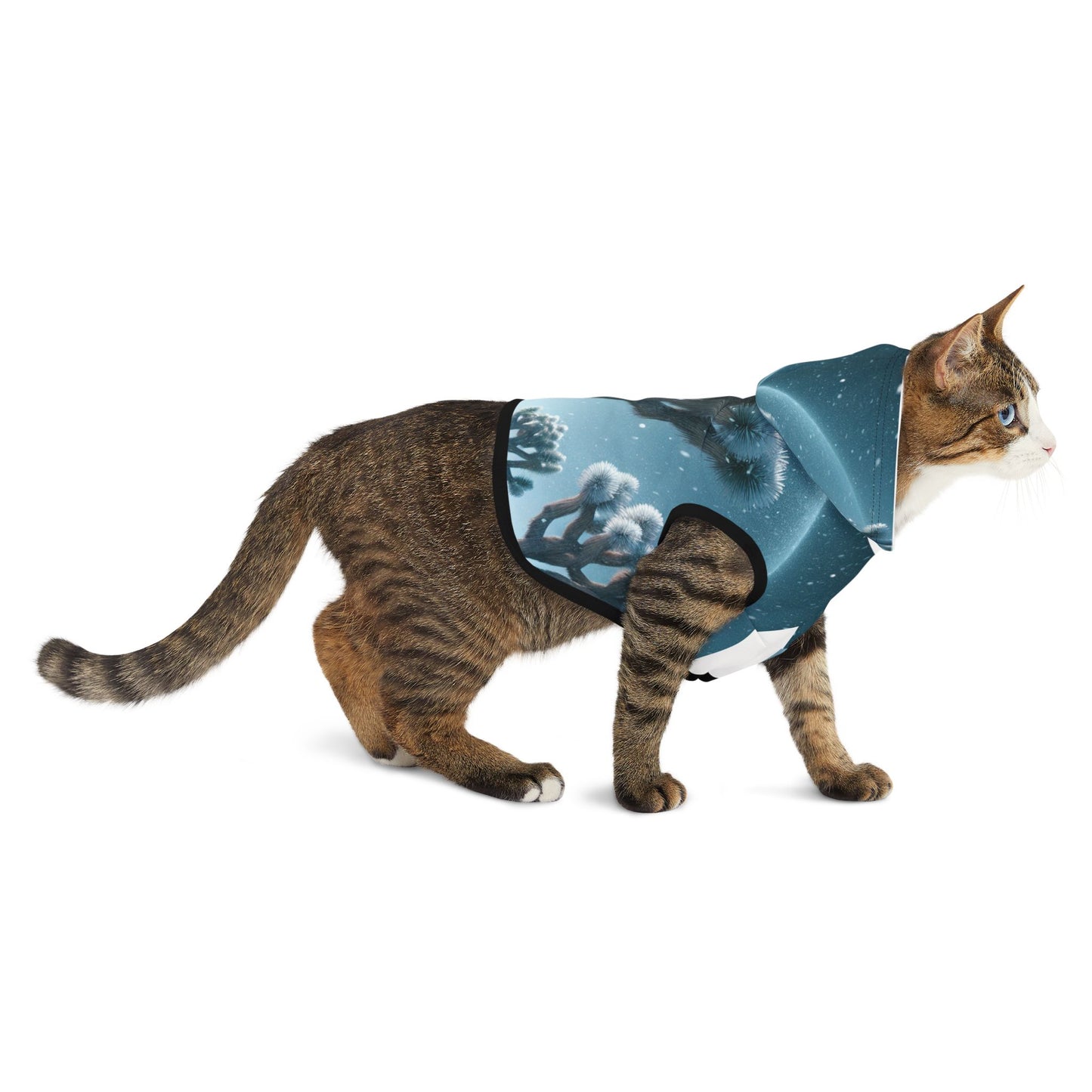 Pet Hoodie
