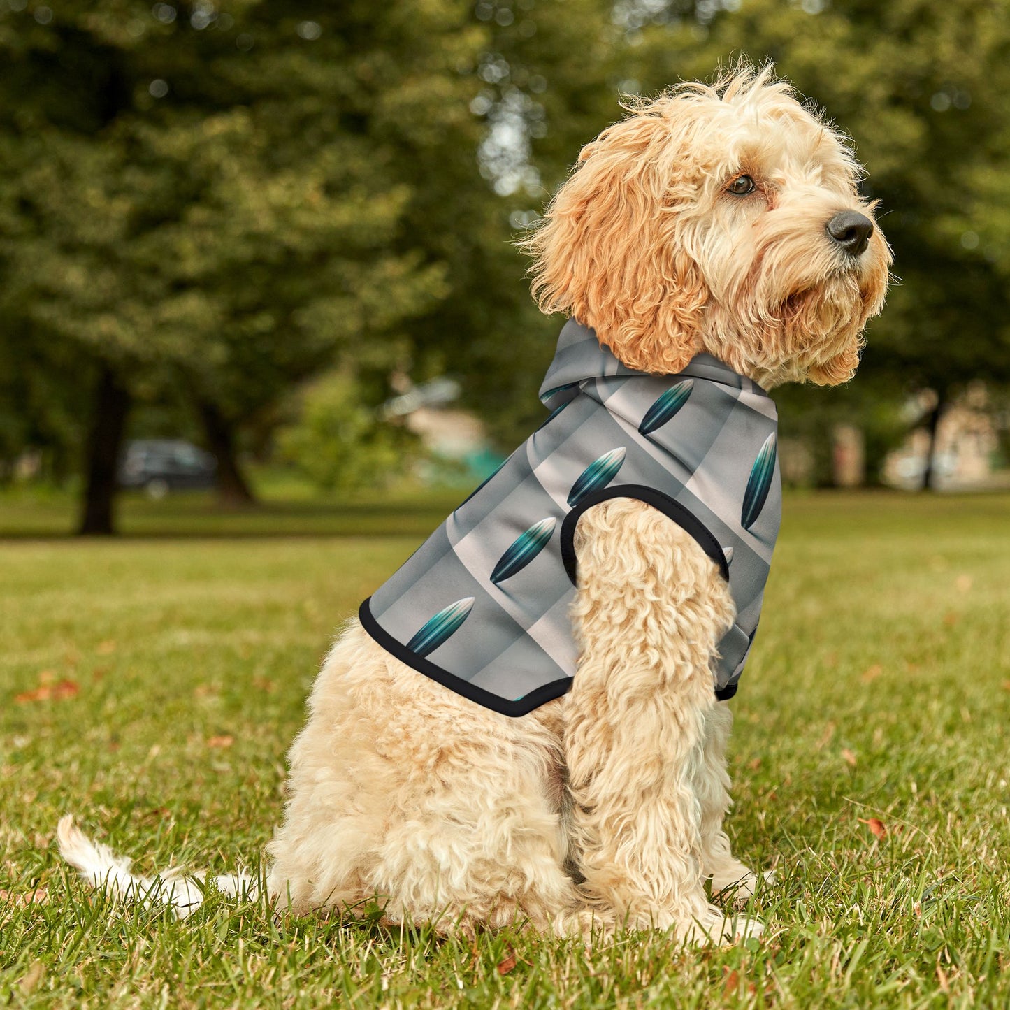 Pet Hoodie