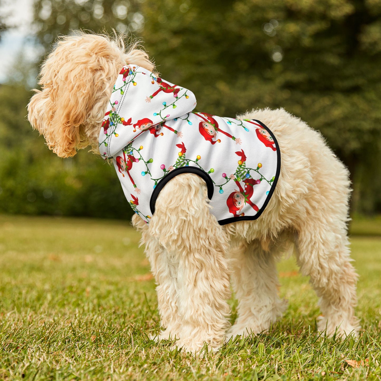 Pet Hoodie