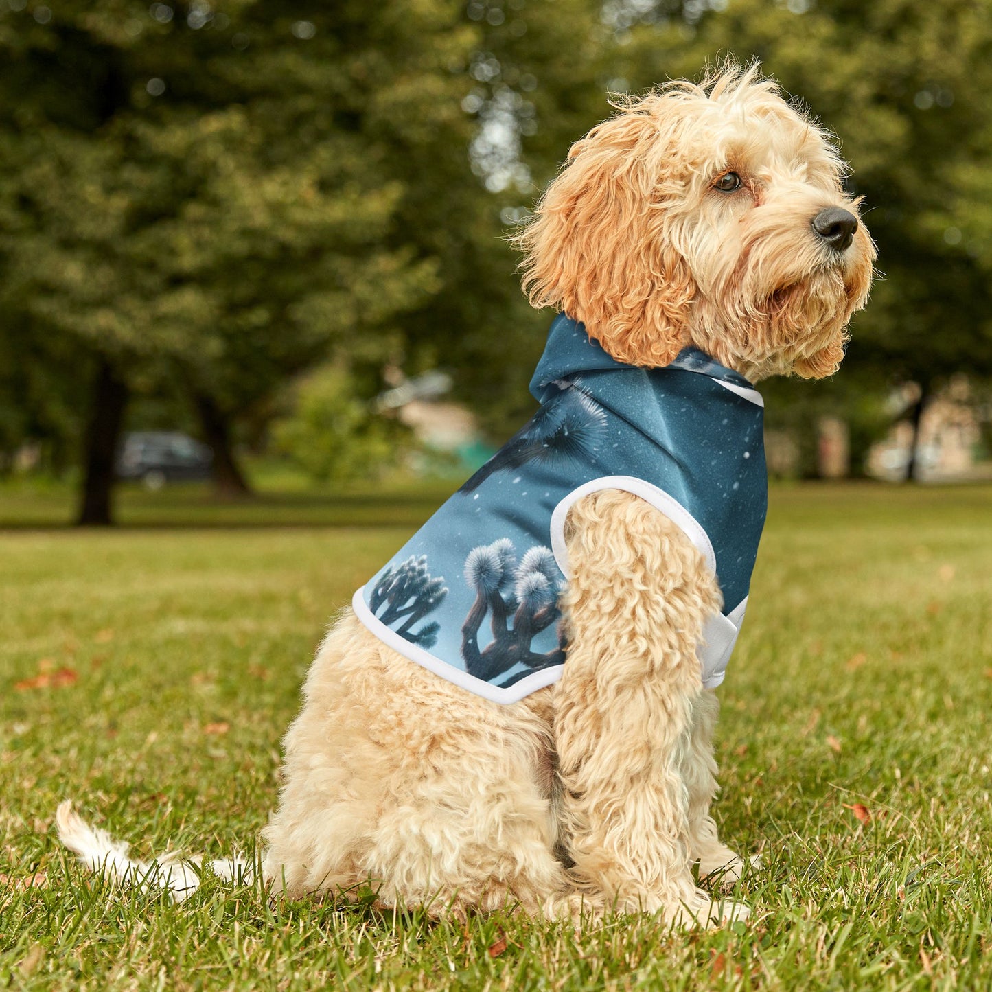 Pet Hoodie