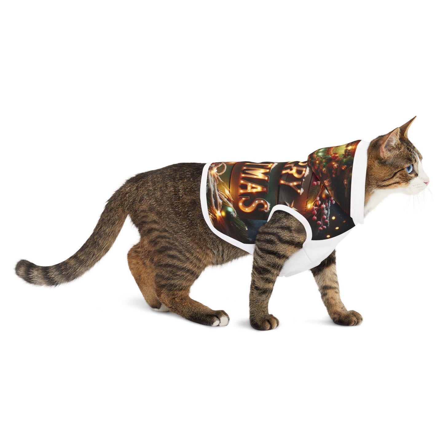 Pet Hoodie