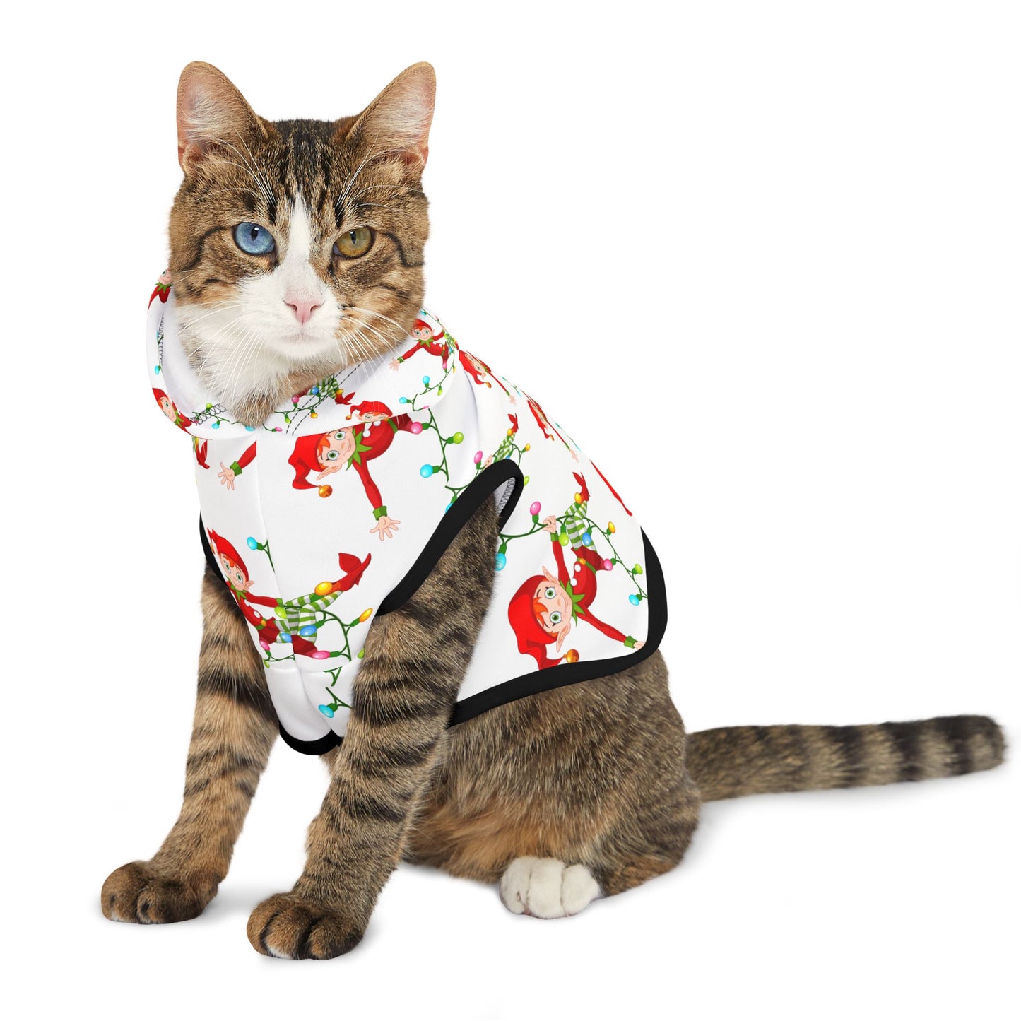 Pet Hoodie