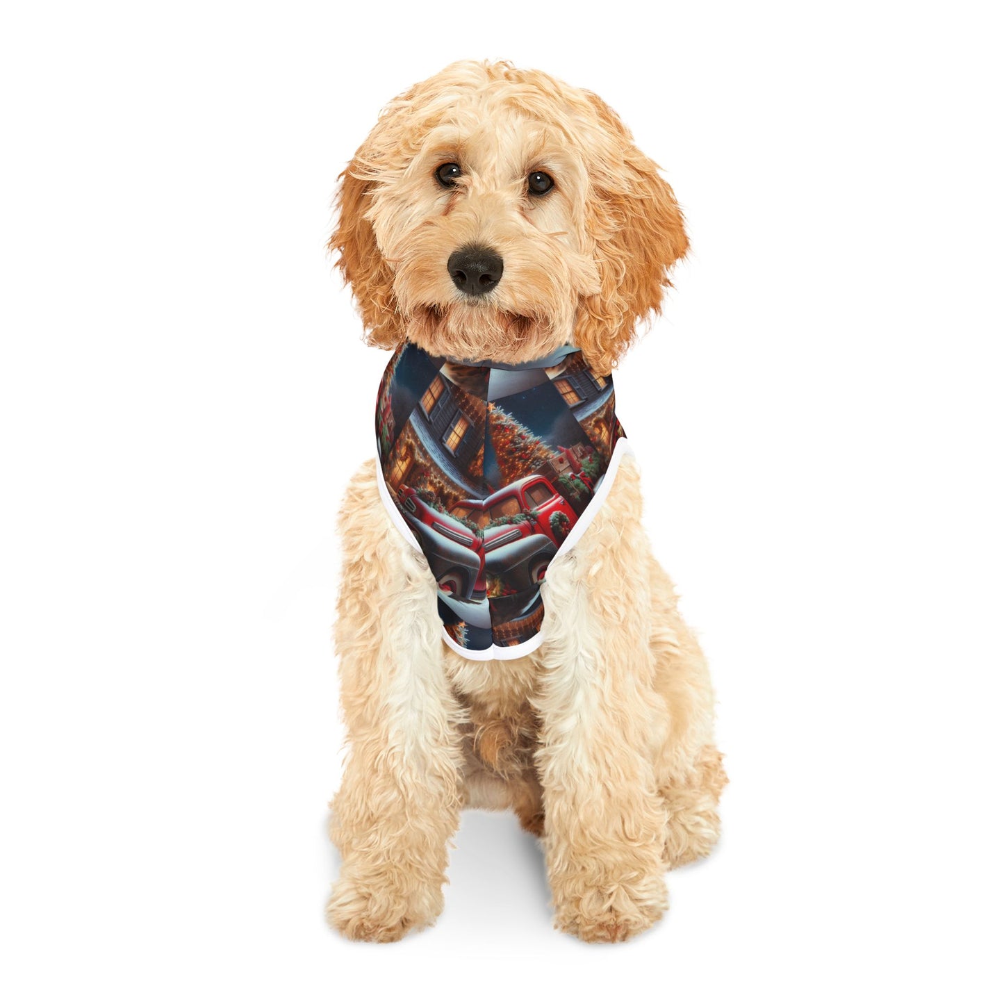 Pet Hoodie